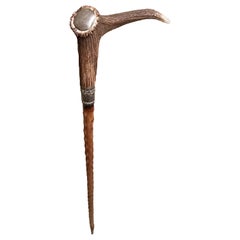 Antique Bavarian Hunting Antler Walking Stick, 1910s, Germany