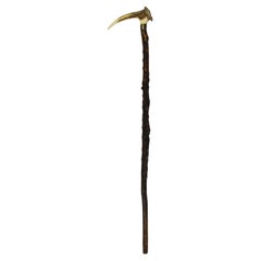 Antique Bavarian hunting Walking stick Antler Blackthorn Wood 1900's Germany