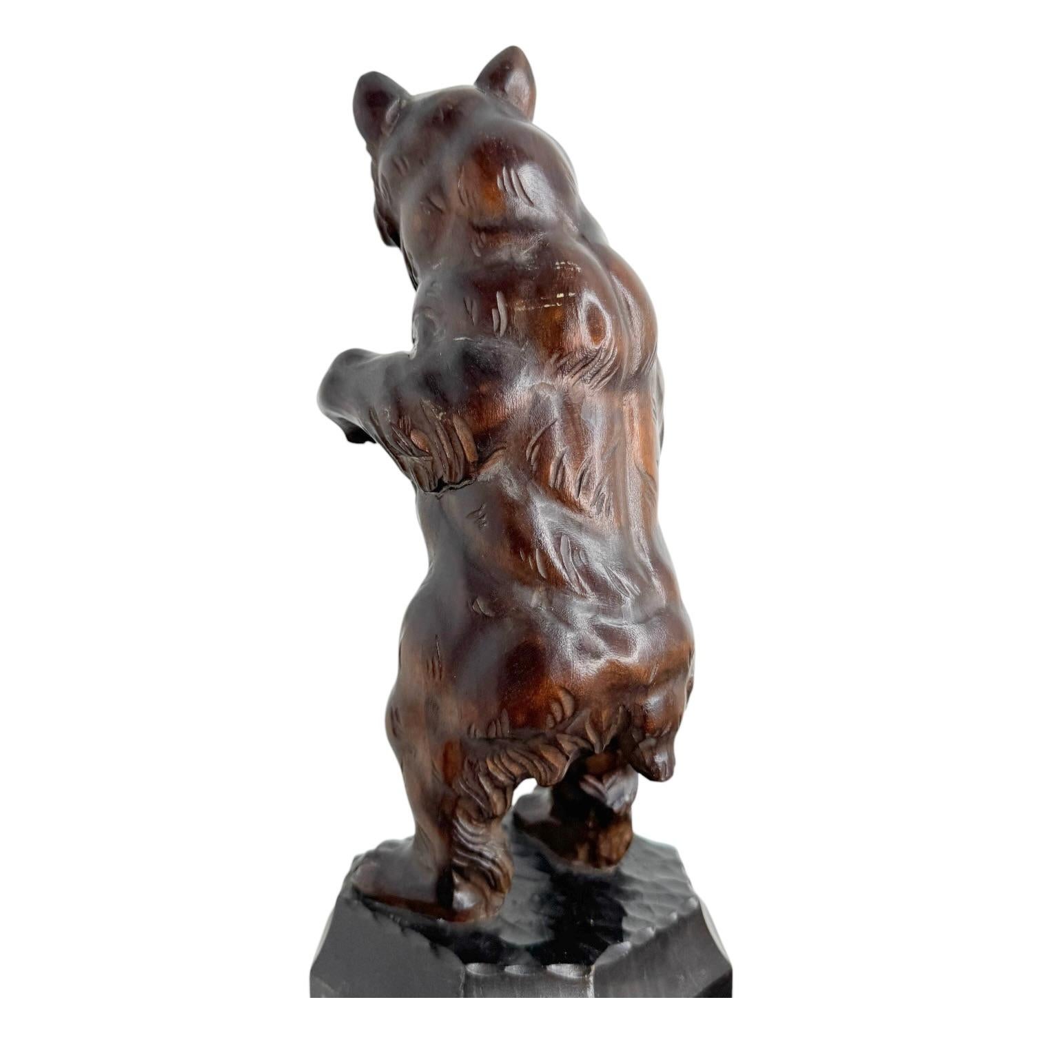 Antique beautiful Brienz Bear Statue Wood Carved on an Ebonized Wooden Base 1890 For Sale 8