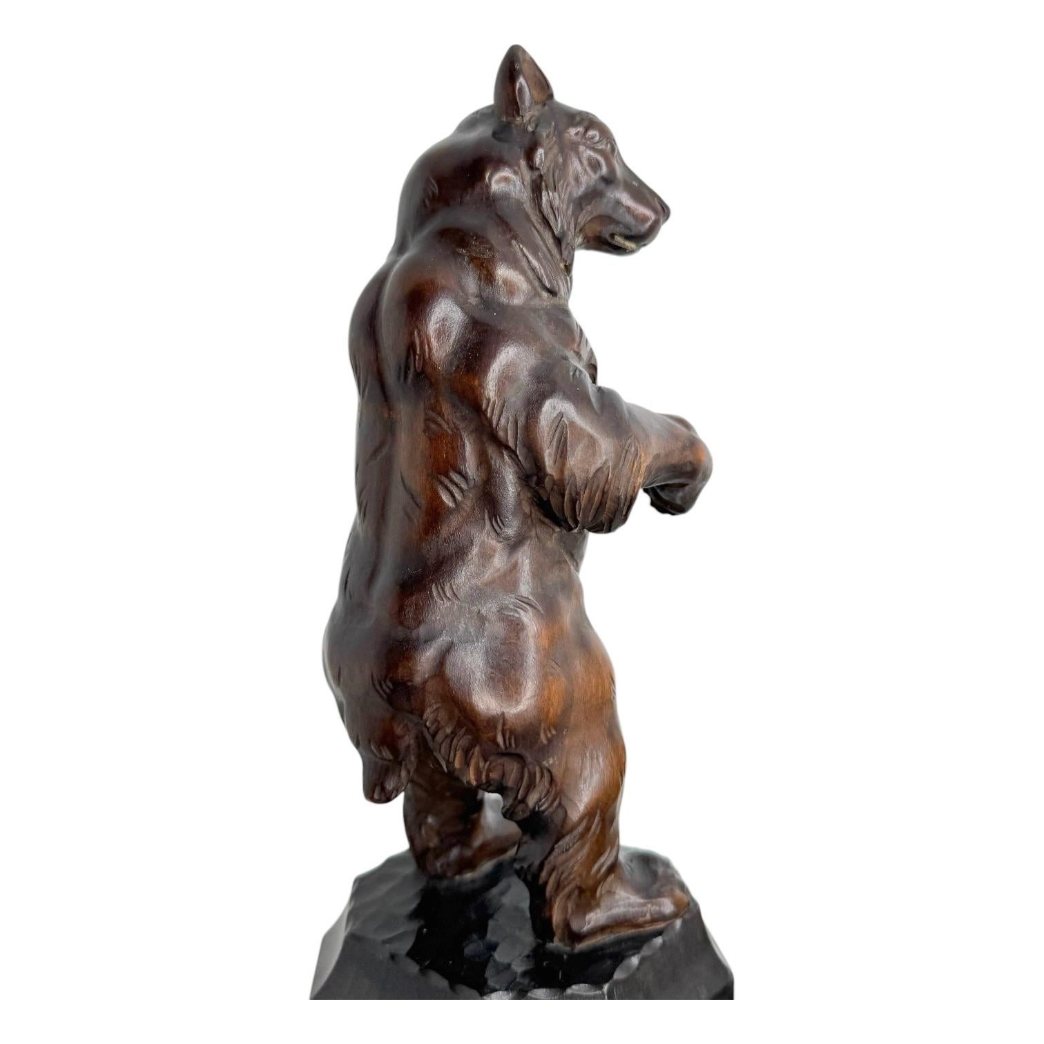 Antique beautiful Brienz Bear Statue Wood Carved on an Ebonized Wooden Base 1890 For Sale 10