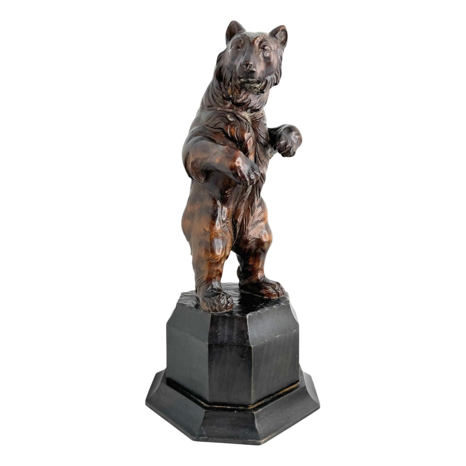Black Forest Antique beautiful Brienz Bear Statue Wood Carved on an Ebonized Wooden Base 1890 For Sale