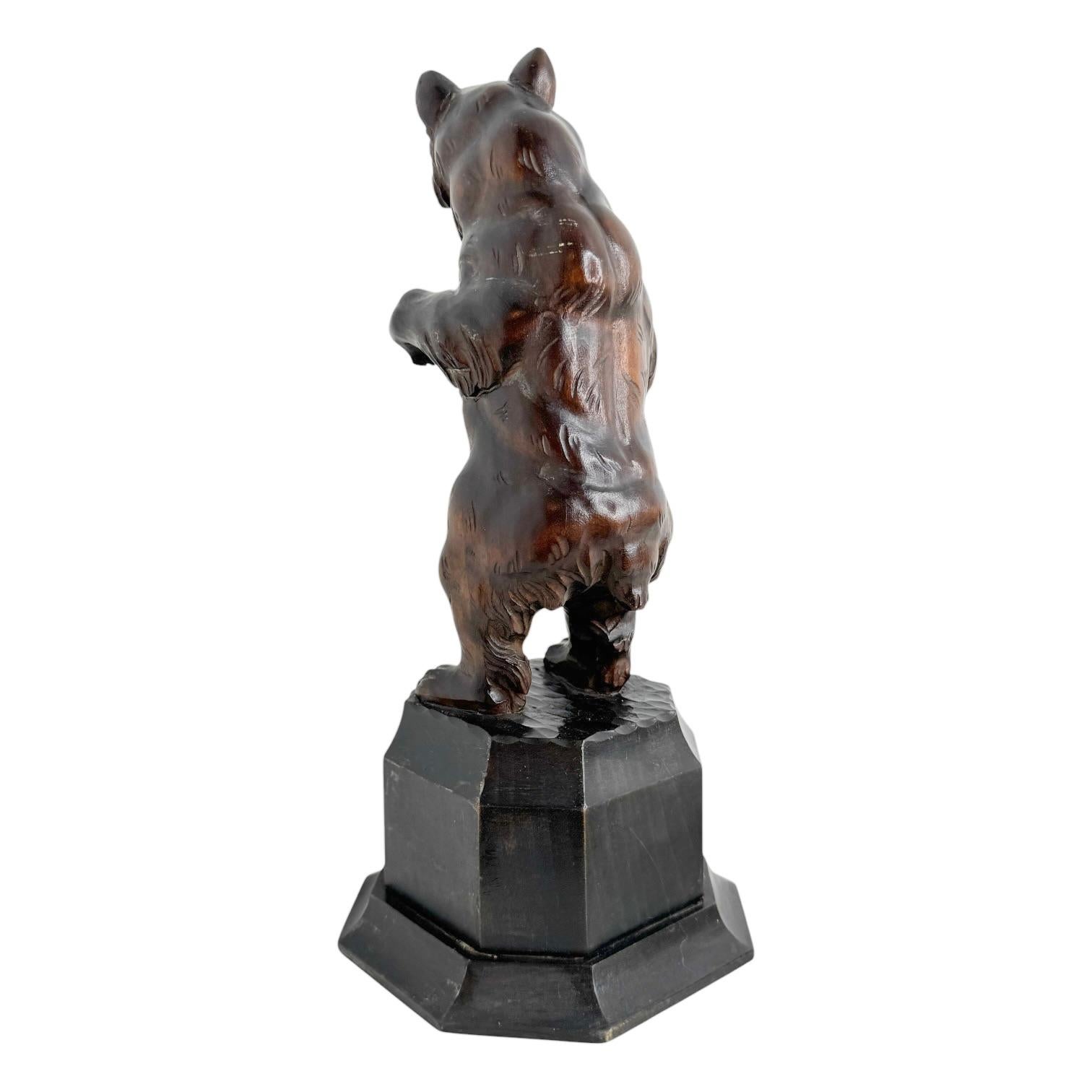 Antique beautiful Brienz Bear Statue Wood Carved on an Ebonized Wooden Base 1890 For Sale 1