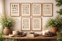 Antique Beetle Chromolithographs, European Coleoptera Plates, Calwer 1893