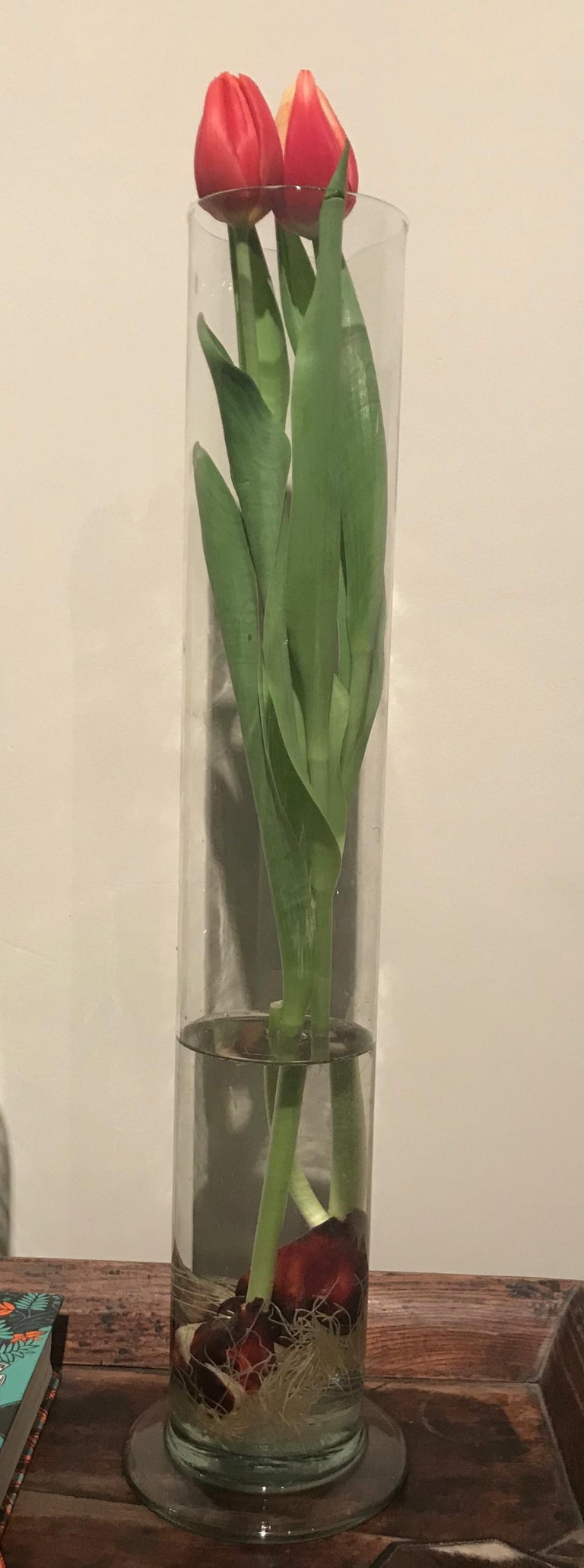 Antique Belgian Glass Chemistry Beaker Vases at 1stDibs