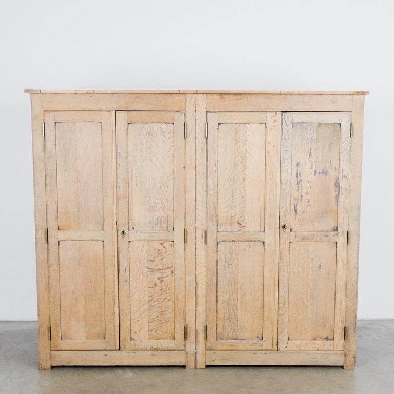 Antique Belgian Oak Double Armoire at 1stDibs