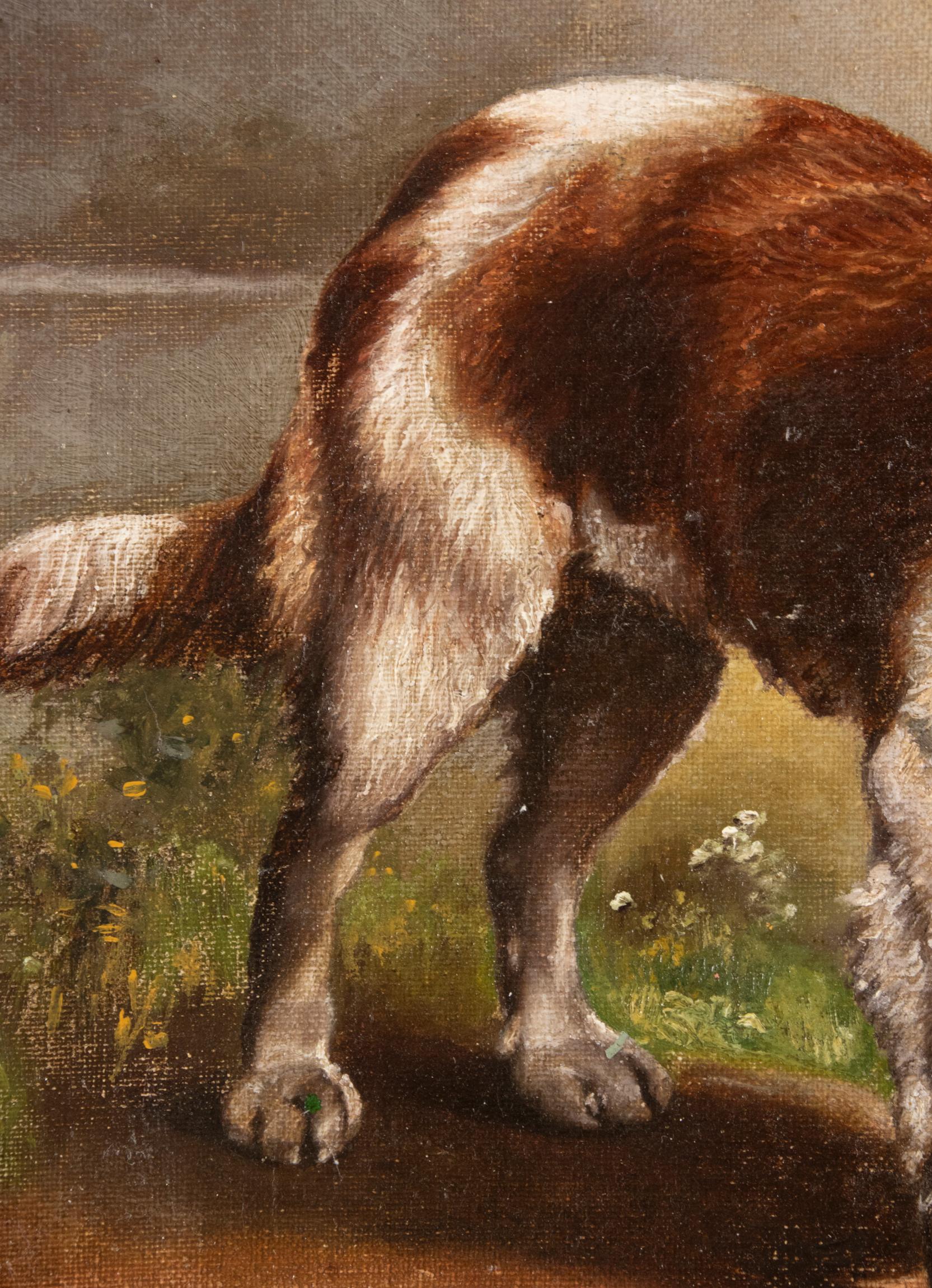 20th Century Antique Belgium Oil Painting Border Collie and a Dachshund Dog, A van de Venne