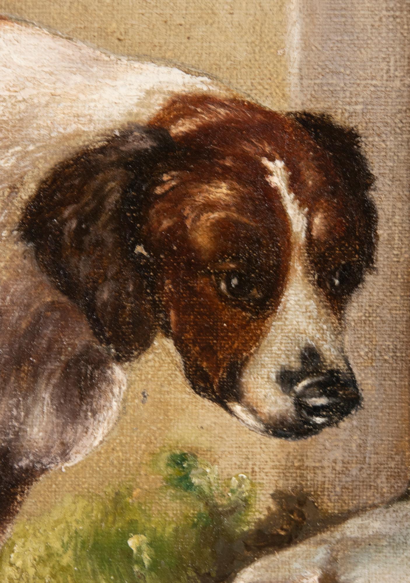 Dutch Antique Belgium Oil Painting Border Collie and a Dachshund Dog, A van de Venne
