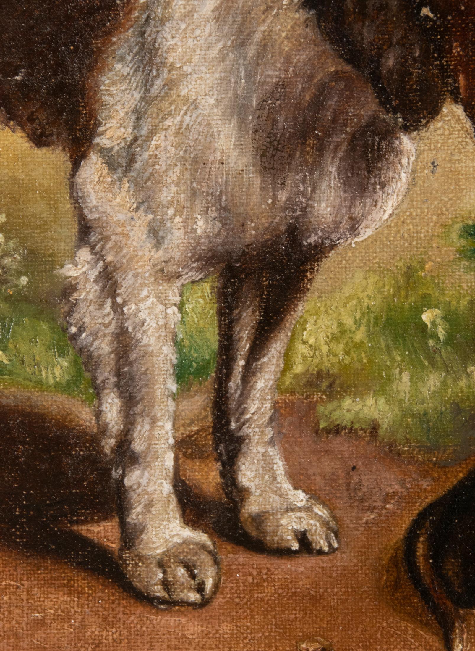 Antique Belgium Oil Painting Border Collie and a Dachshund Dog, A van de Venne In Good Condition In Casteren, Noord-Brabant