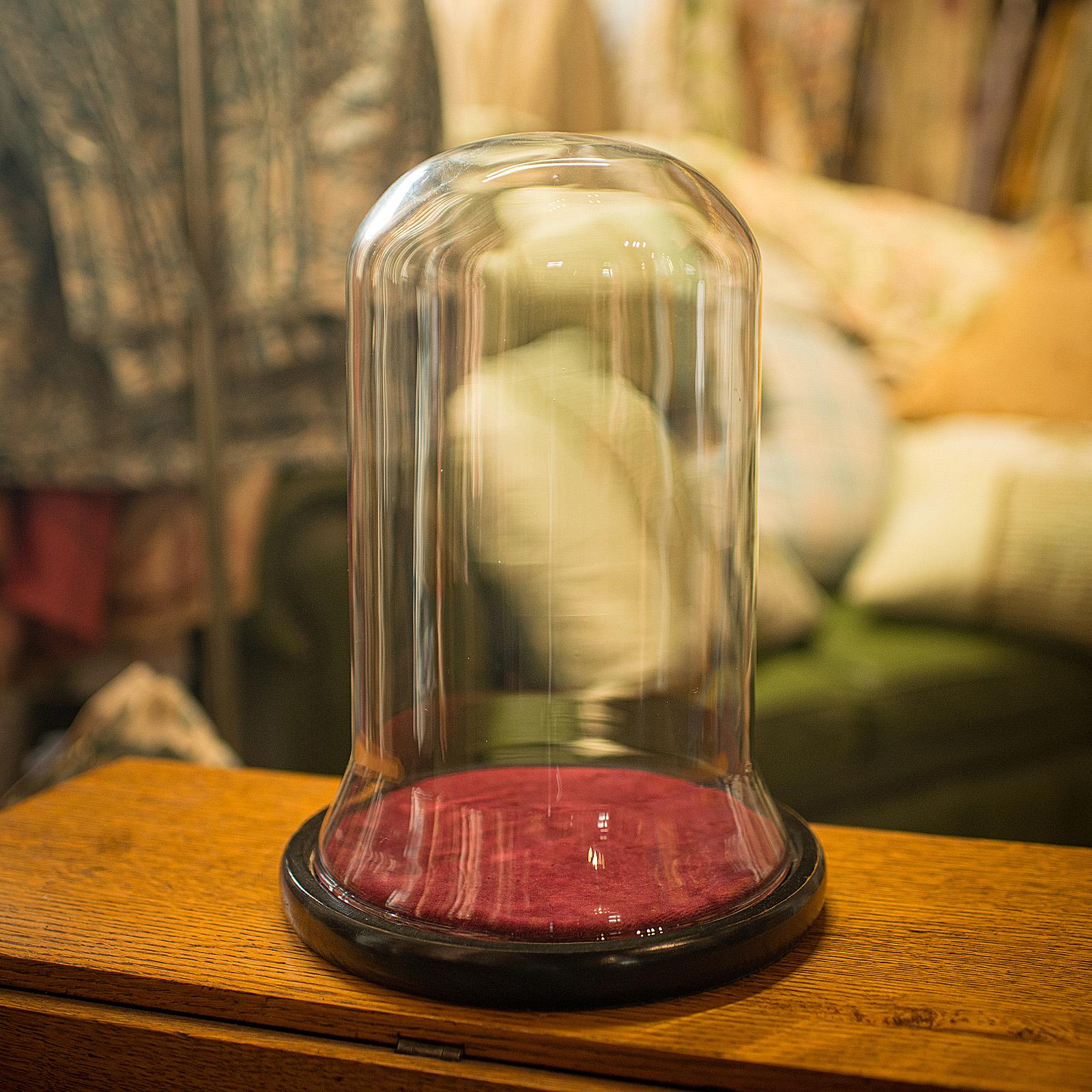 This is an antique bell bottom display dome. An English, glass over ebonised pine taxidermy or collectible showcase, dating to the Edwardian period, circa 1910.

Showcase your treasured items within quality Edwardian glass
Displaying a desirable