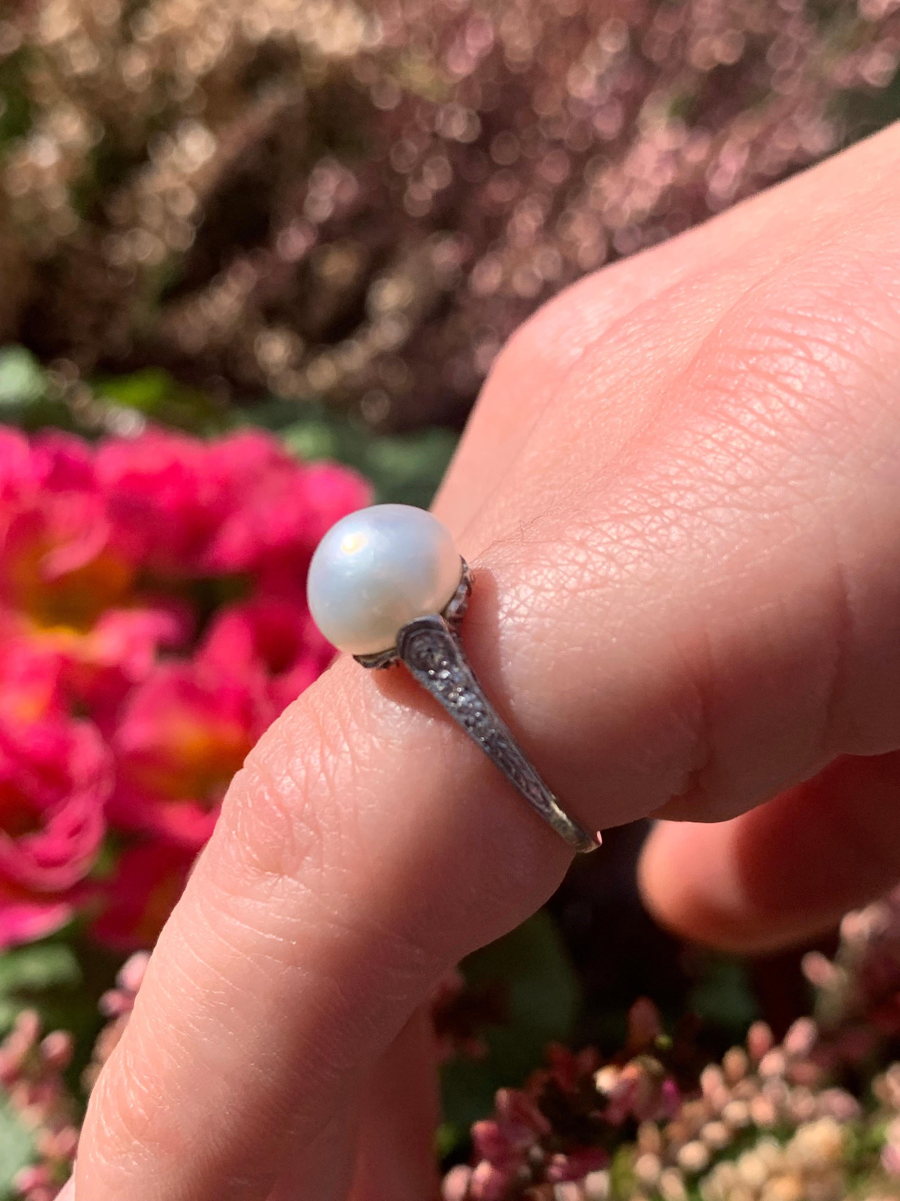 Antique Belle Époque Ring Natural Oriental Bouton Pearl 3.47 Ct Plat Diamond  For Sale 5