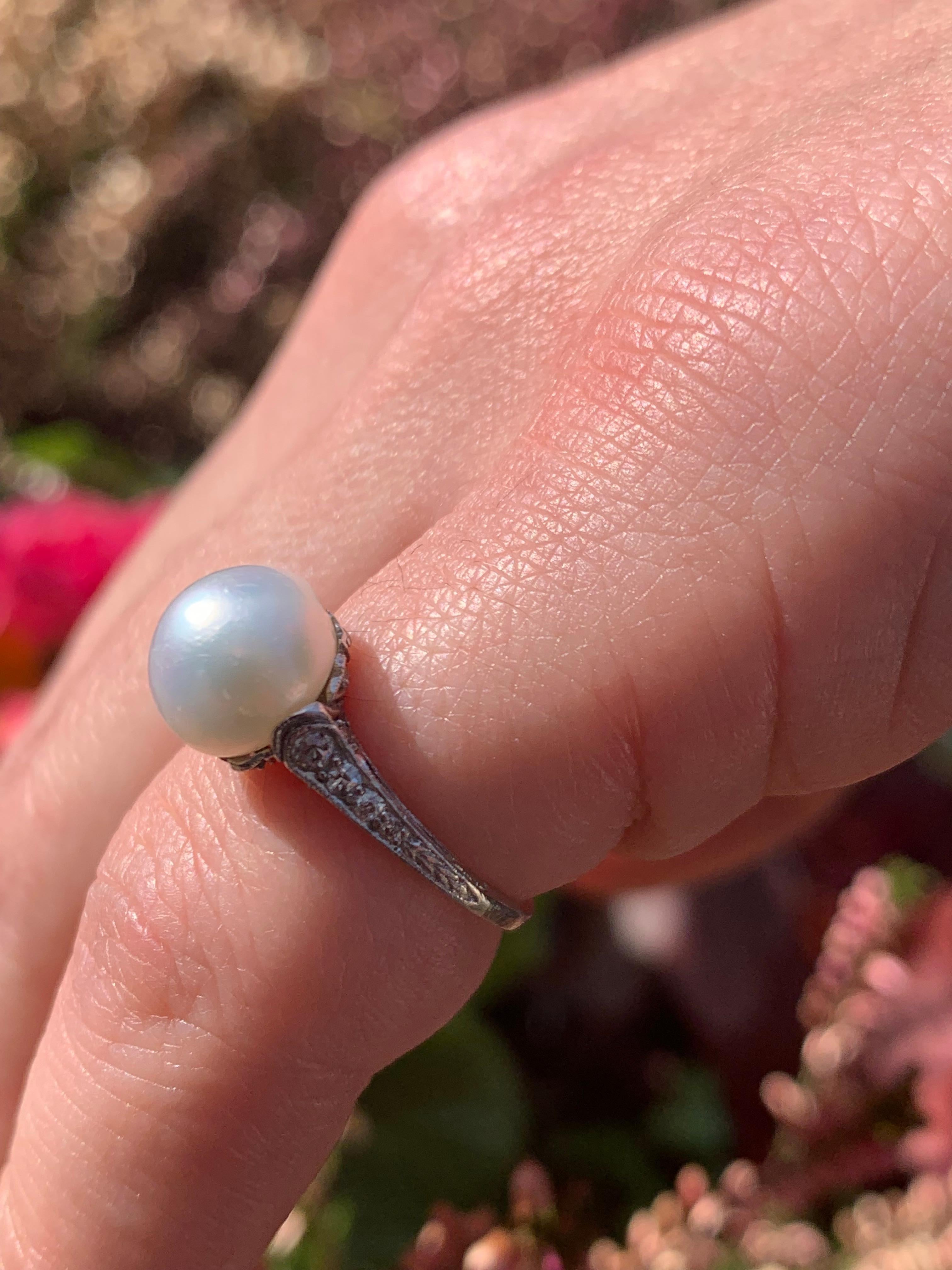 Women's Antique Belle Époque Ring Natural Oriental Bouton Pearl 3.47 Ct Plat Diamond  For Sale