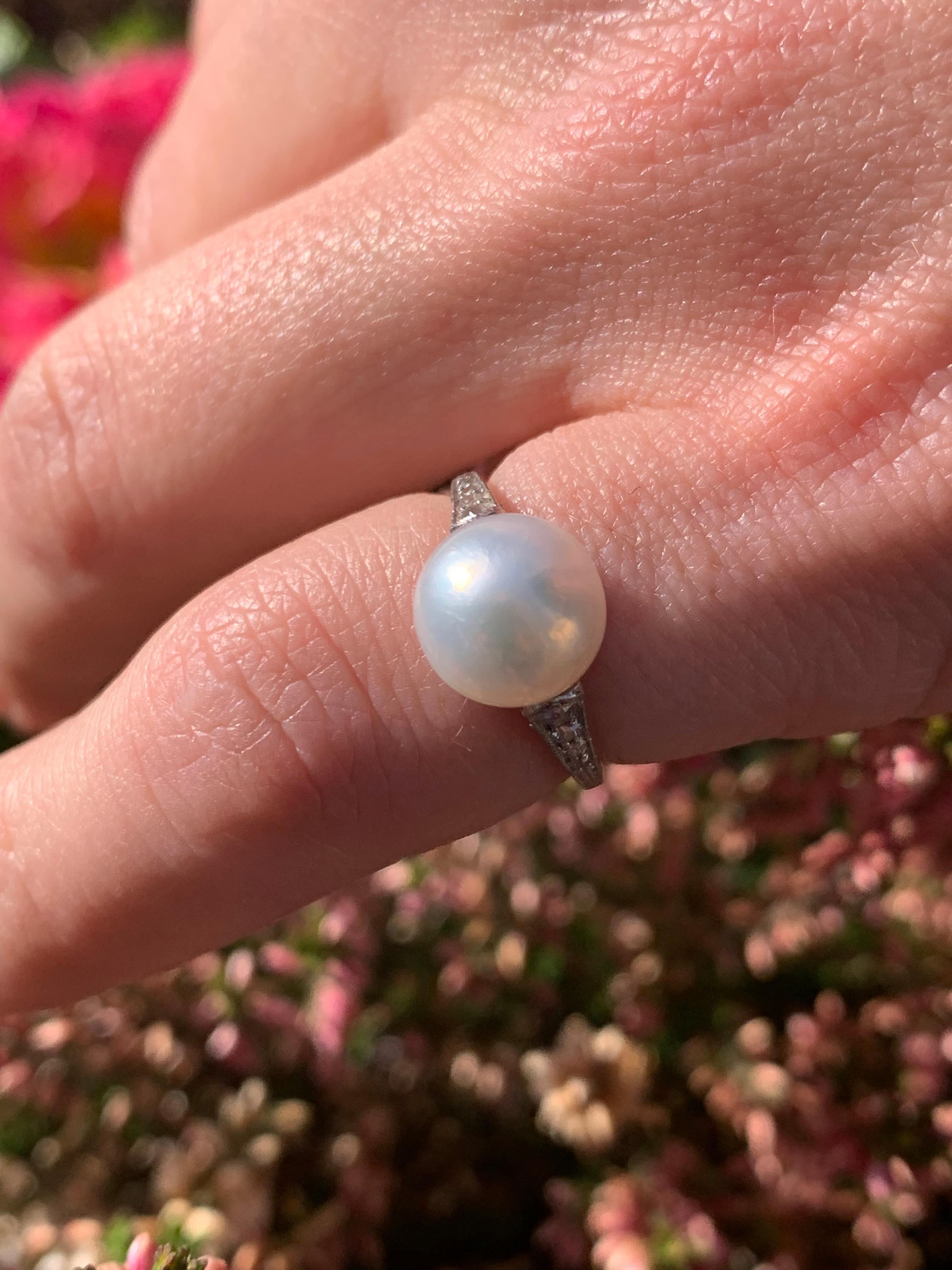 Antique Belle Époque Ring Natural Oriental Bouton Pearl 3.47 Ct Plat Diamond  For Sale 1