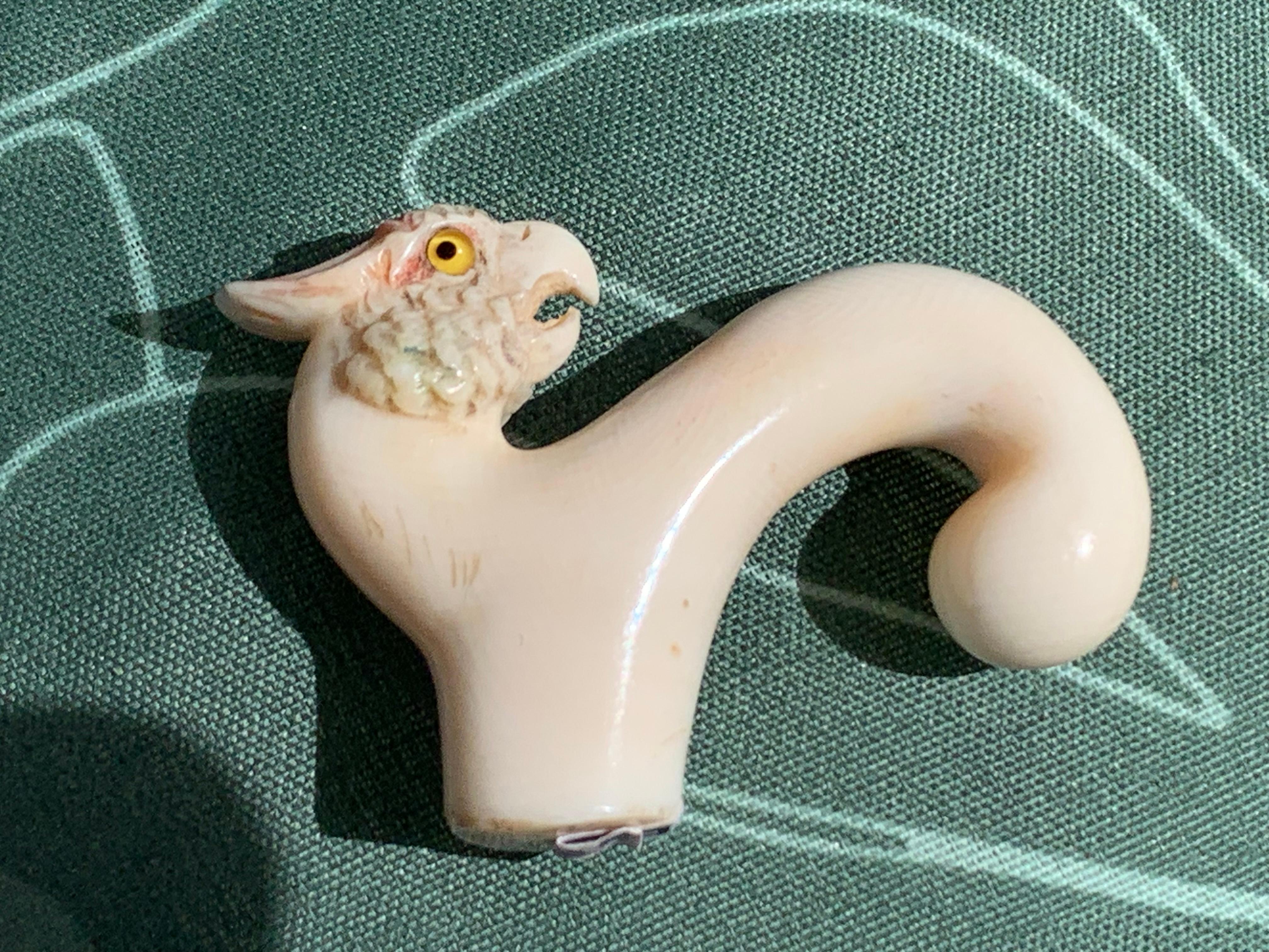 Antico bastone da passeggio Belle Époque con manico di pappagallo cacatua intagliato in osso in vendita 3