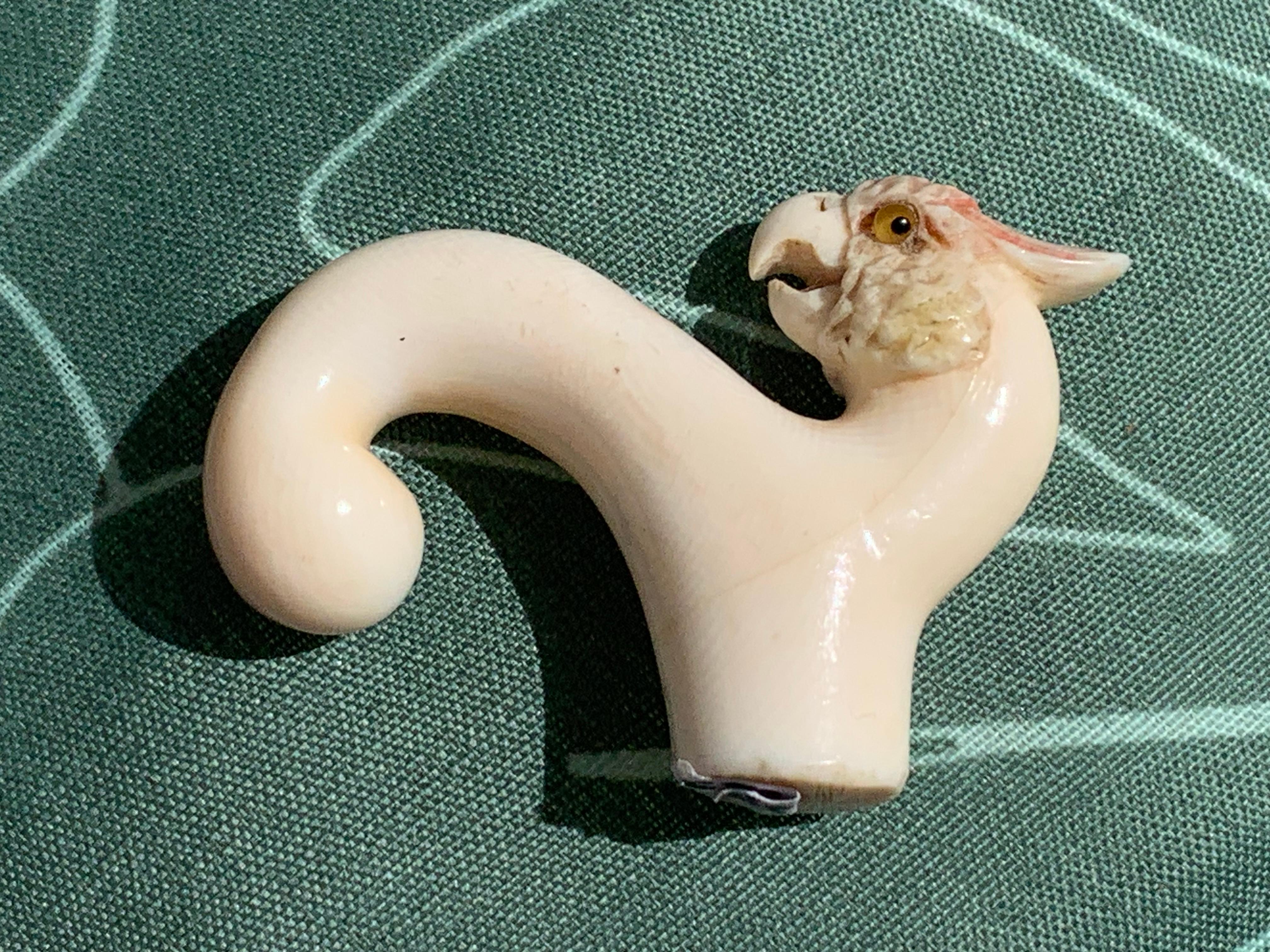 Antico bastone da passeggio Belle Époque con manico di pappagallo cacatua intagliato in osso in vendita 5
