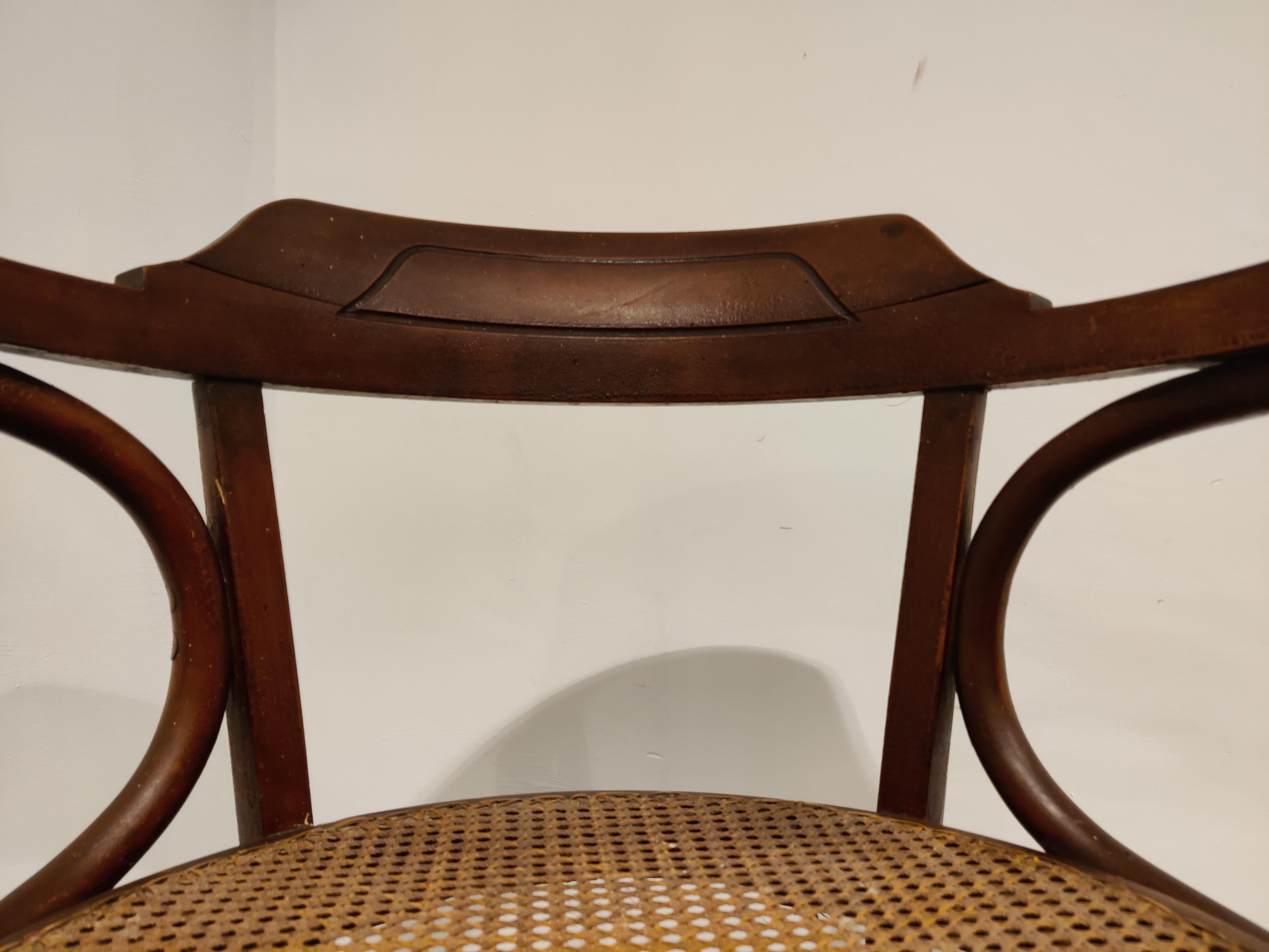 Fauteuil ou chaise de bistro en bentwood antique, années 1950 en vente 2