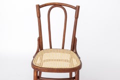 Antique Bentwood Chair in the Style of Thonet No. 56  Rattan Chair  1930s