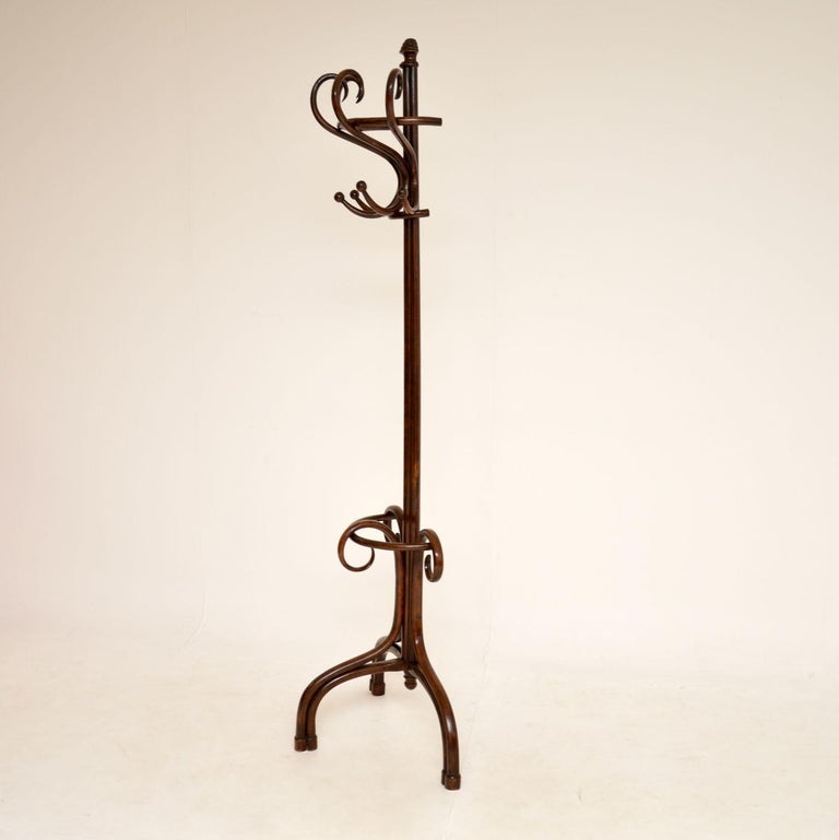 Antique Bentwood Half Hatstand / Coat Rack at 1stDibs