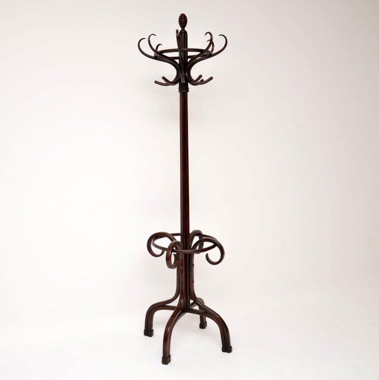 Antique Bentwood Hat and Coat Stand at 1stDibs