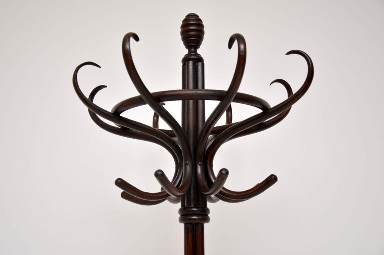 Antique Bentwood Hat and Coat Stand at 1stDibs