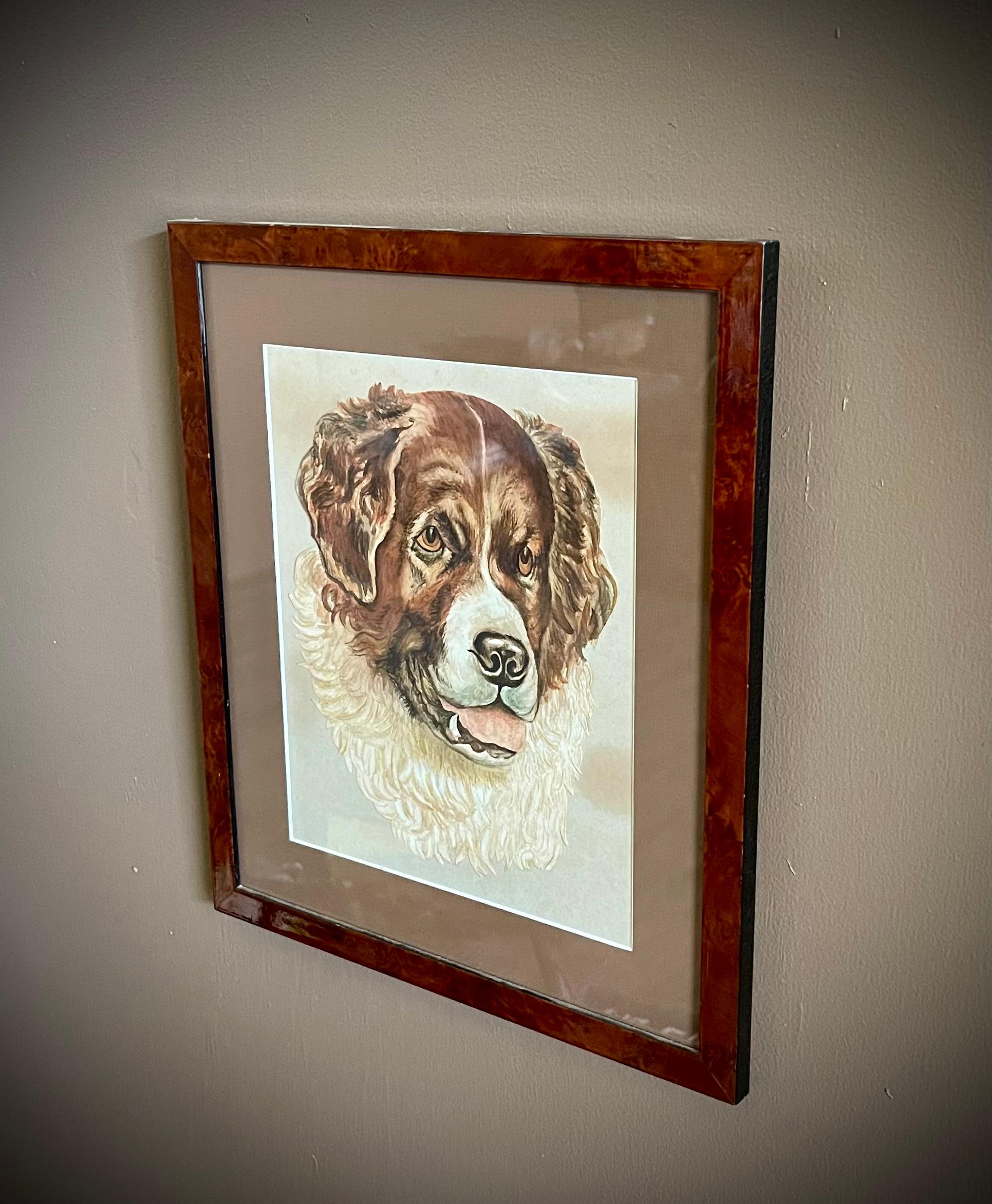 Capture the majestic beauty of a Bernese Mountain Dog in this exquisite antique watercolor portrait. With remarkable precision and detail, the artist has immortalized the noble features of this beloved breed, from the distinctive tri-color coat to