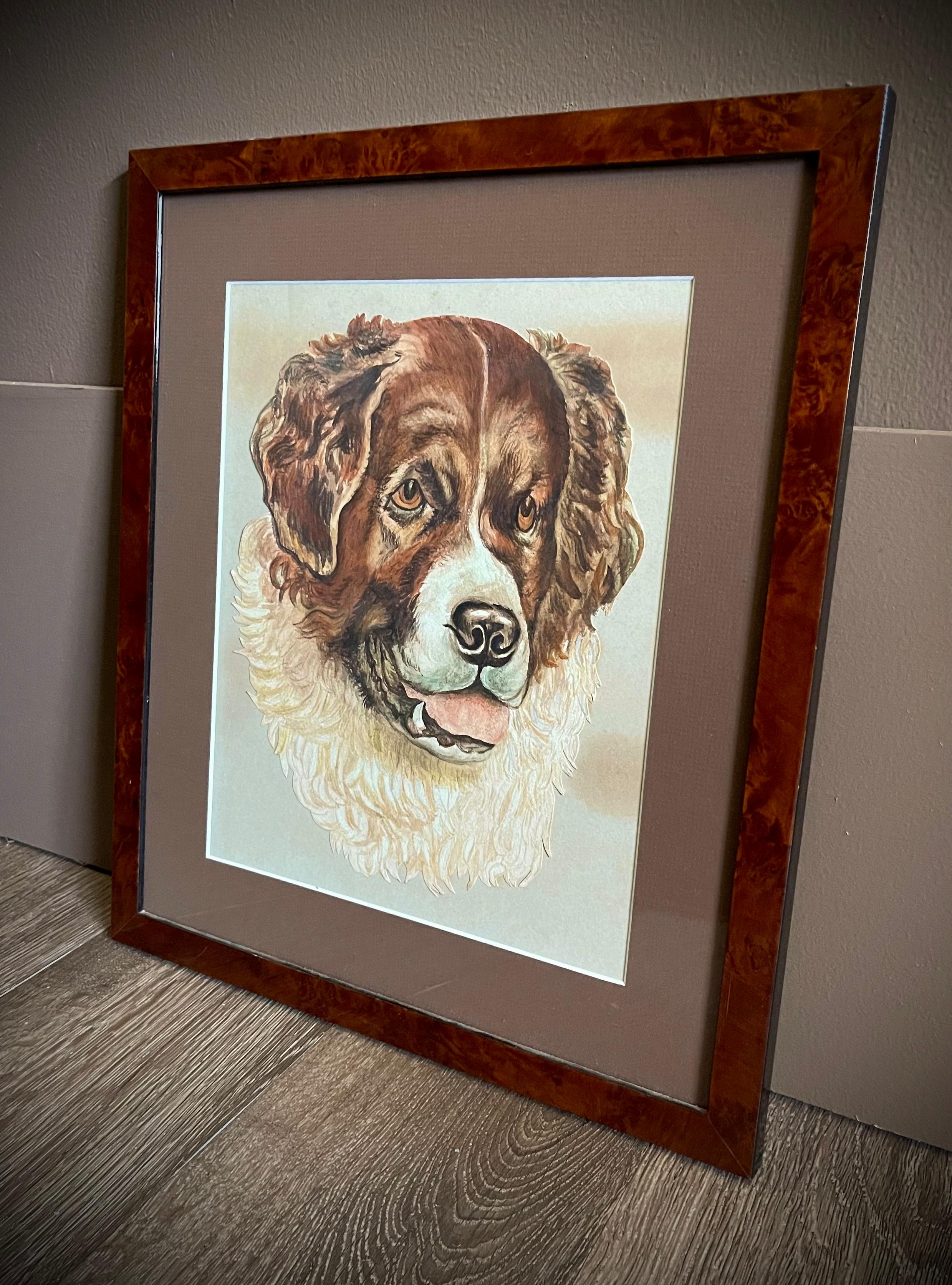 European Antique Bernese Mountain Dog, St. Bernard Dog Watercolor Portrait For Sale