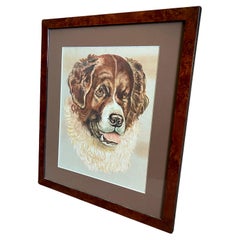 Portrait antique du chien de montagne bernois, chien de Saint Bernard