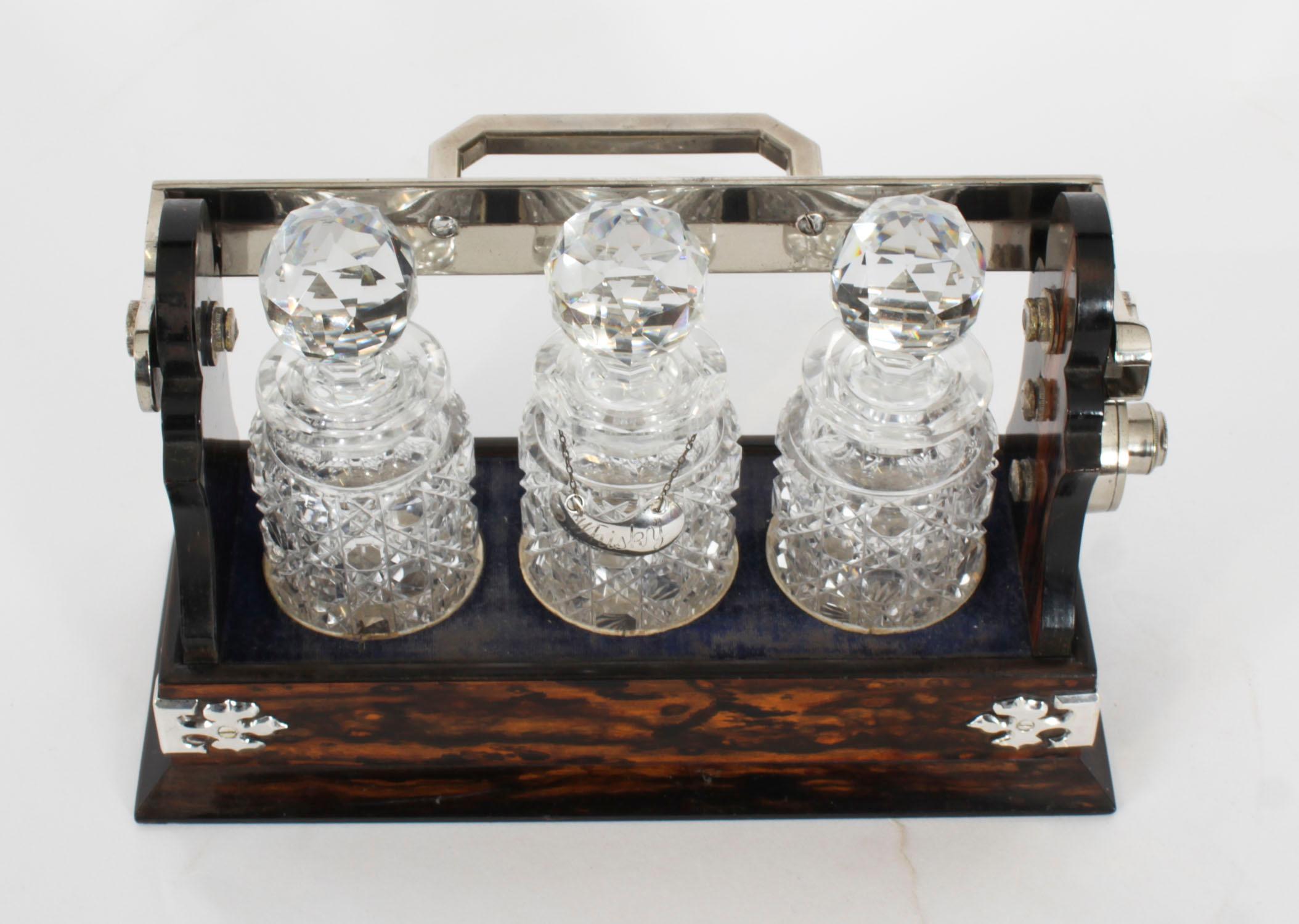 Antike Betjemann's Coromandel Miniature 3 Flaschen Tantalus 19. im Angebot 3