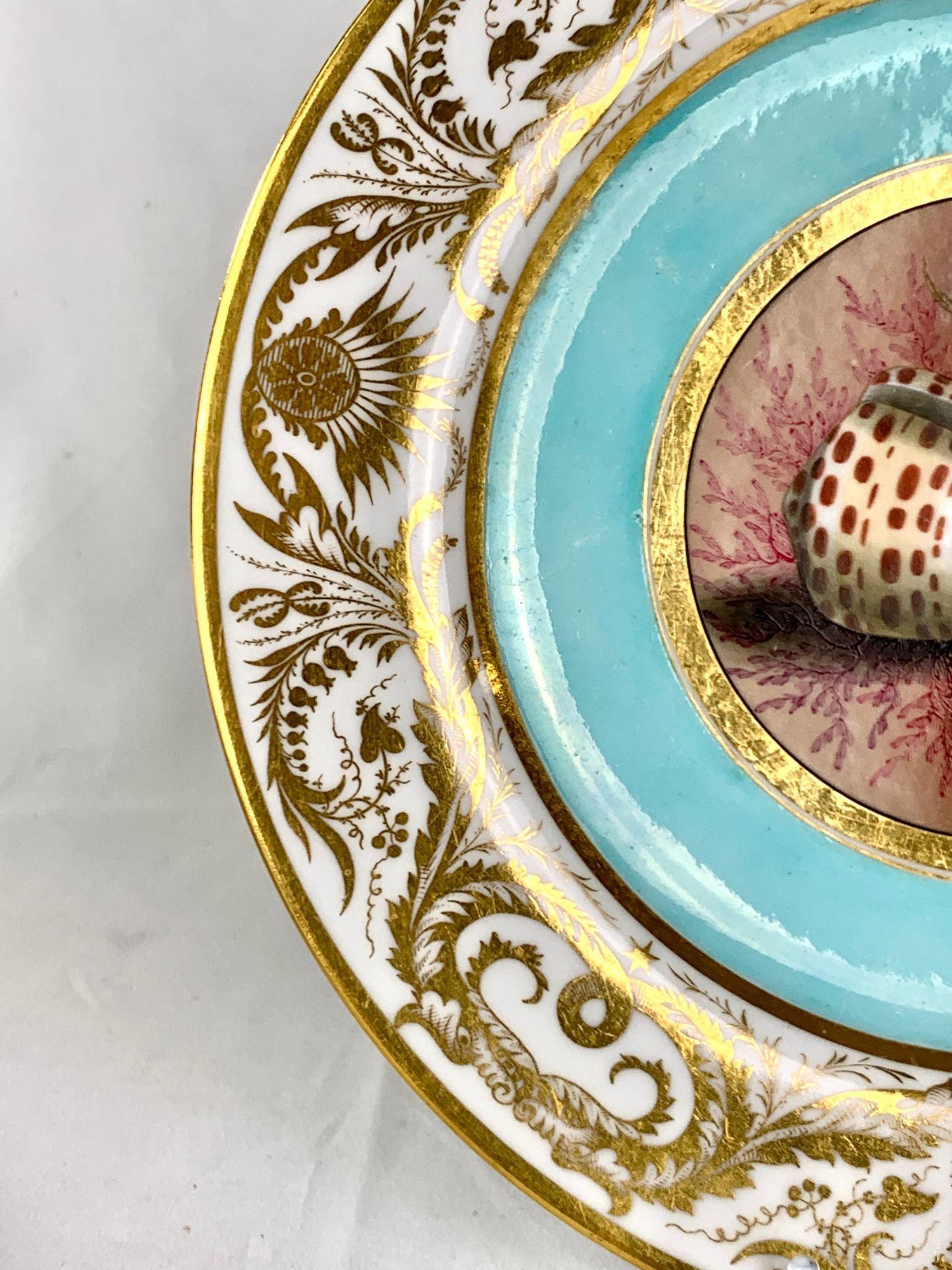 Inglese Antico piatto dipinto a mano BFB Worcester con conchiglie fondo acqua e dorato Ca. 1807 in vendita