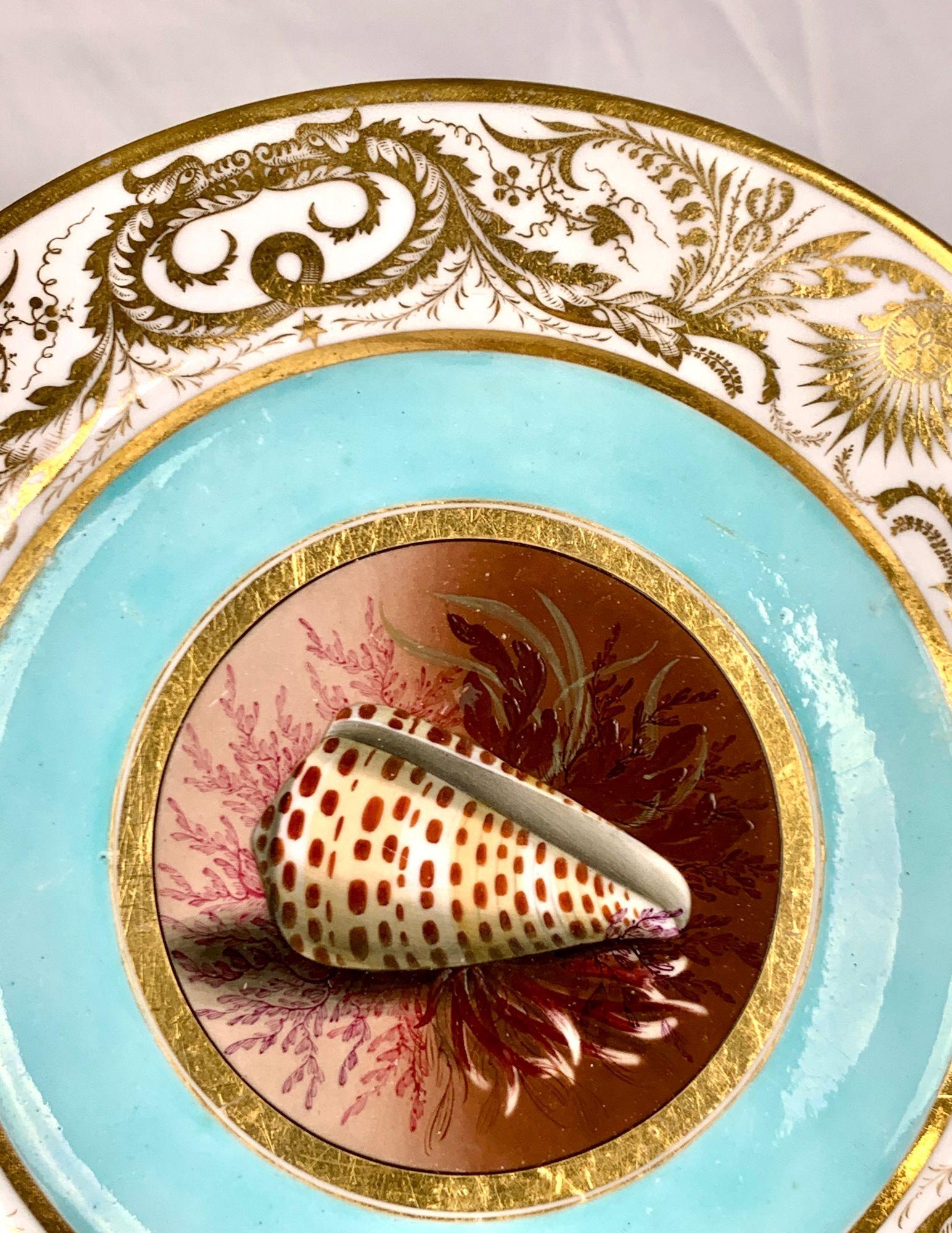 Dipinto a mano Antico piatto dipinto a mano BFB Worcester con conchiglie fondo acqua e dorato Ca. 1807 in vendita