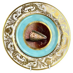 Antiker BFB Worcester Handgemalter Teller mit Muscheln Aqua Grund & Vergoldet Ca. 1807