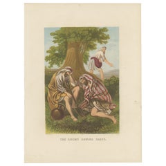 Antiker antiker Bibeldruck der schalenförmigen Schildkröten von Kronheim um 1860