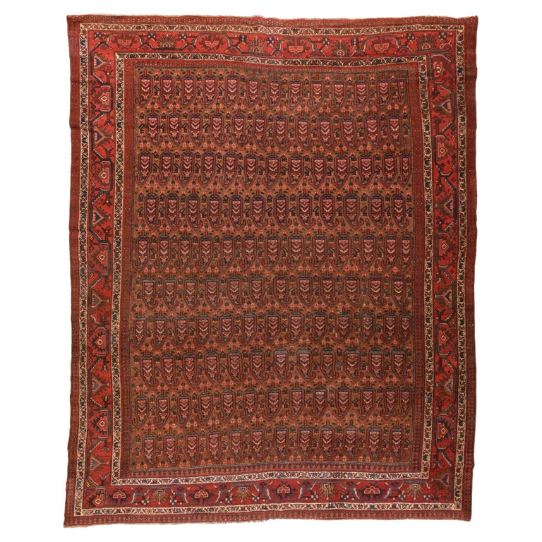 Antique Bidjar Rug For Sale at 1stDibs