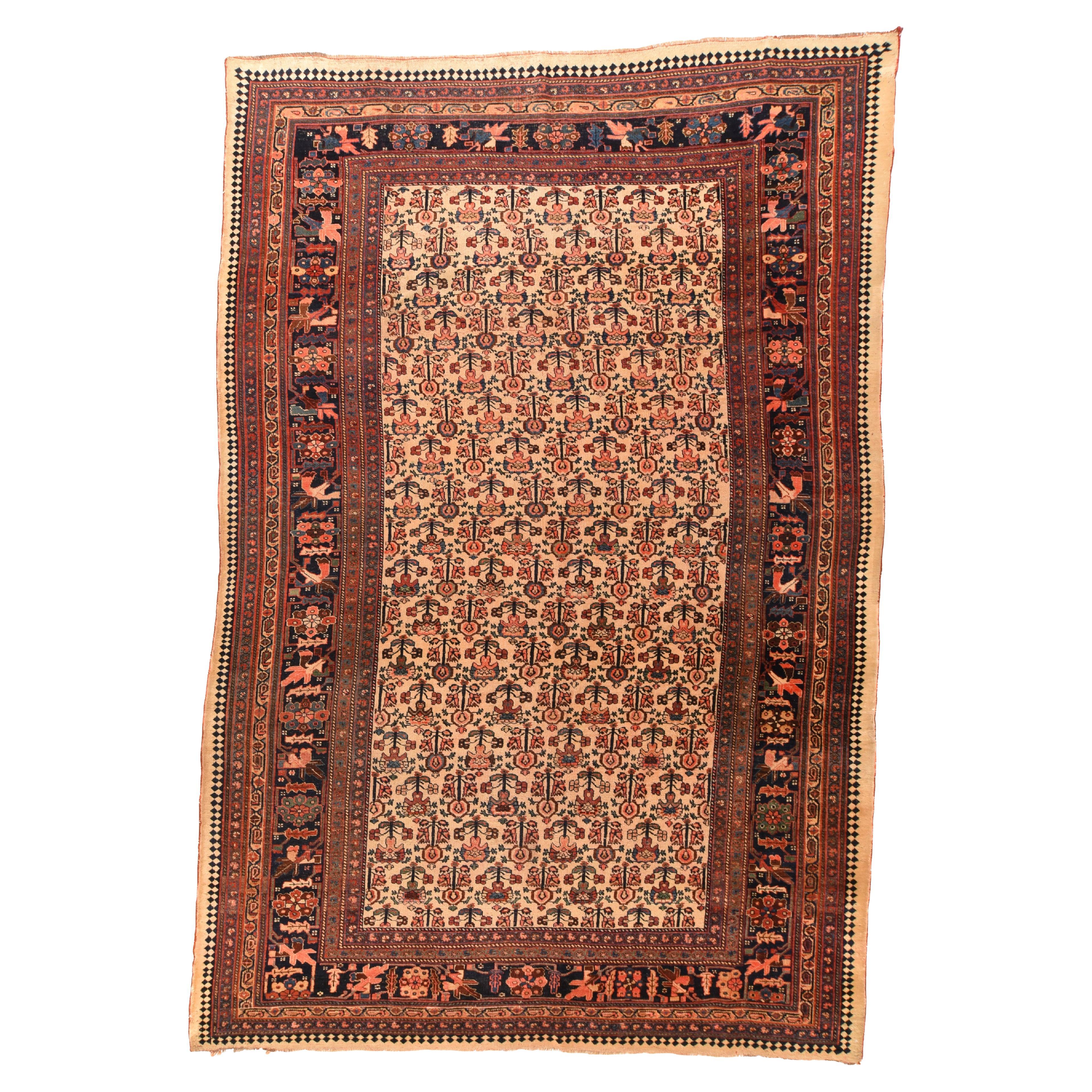 Alfombra Bidjar Antigua 7'7'' x 11'4''