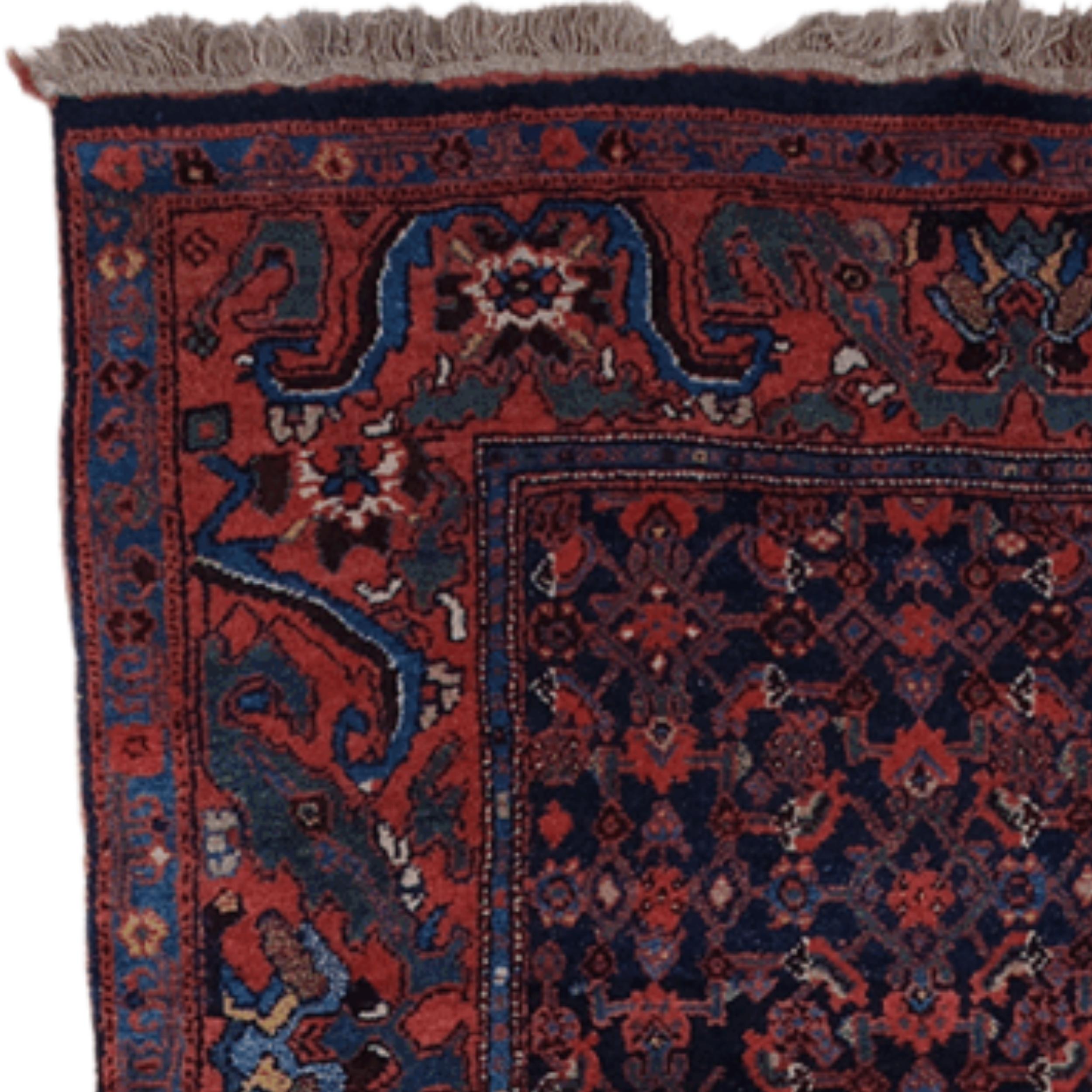 Lana Antico runner Bidjar - XIX secolo