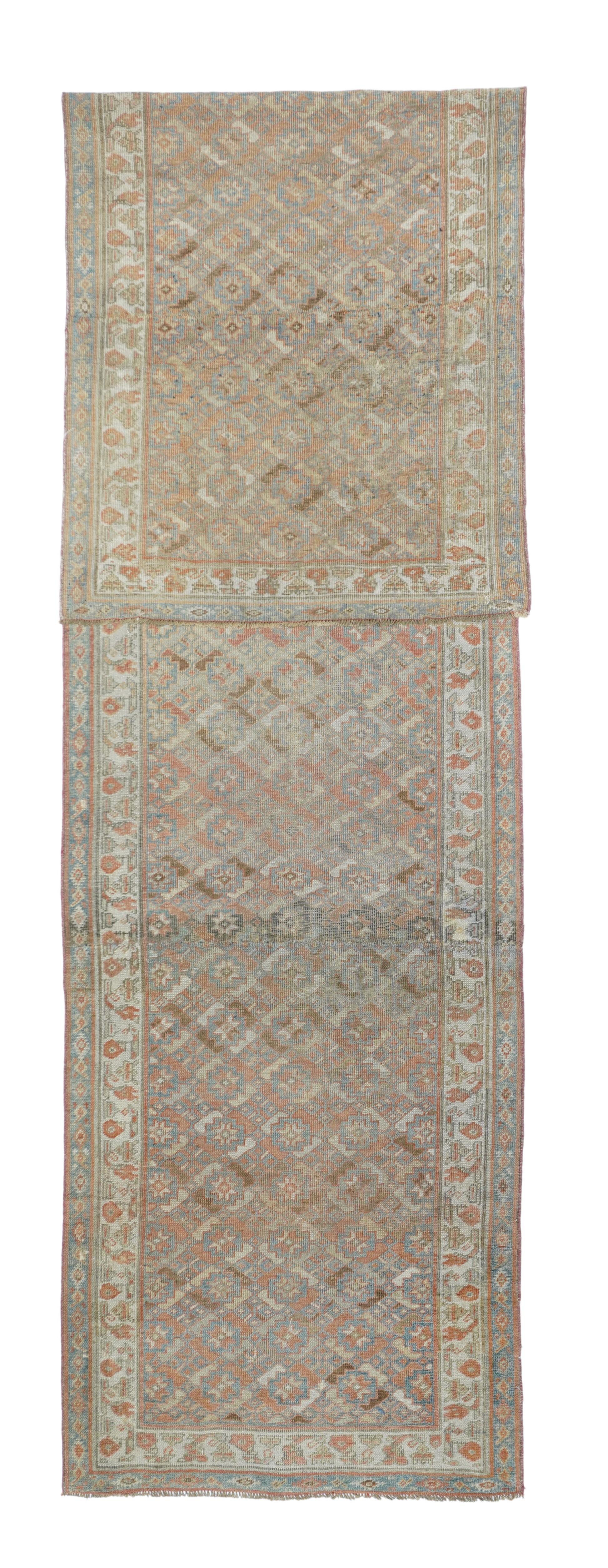Antique Bidjar runner. An allover repeat of stars and four-flower lozenges forms a lattice pattern on the cream field. Pale blue and rust accents, Cream border with stylized flowers. Wool foundation, moderate weave. General, even wear. Fairly good