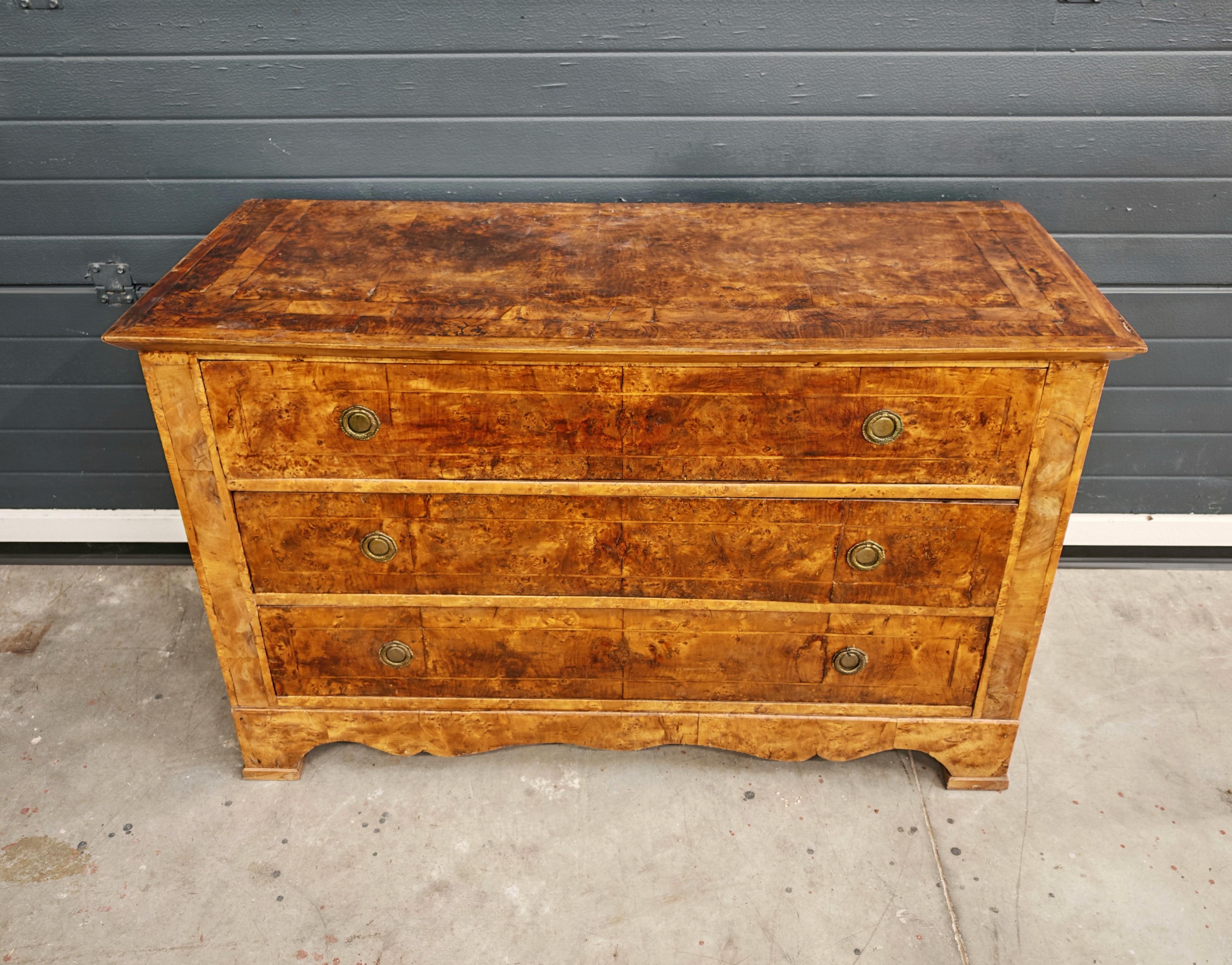 Antike Biedermeier Kommode aus Populus Nigra, Österreich 1820er Jahre (Österreichisch) im Angebot