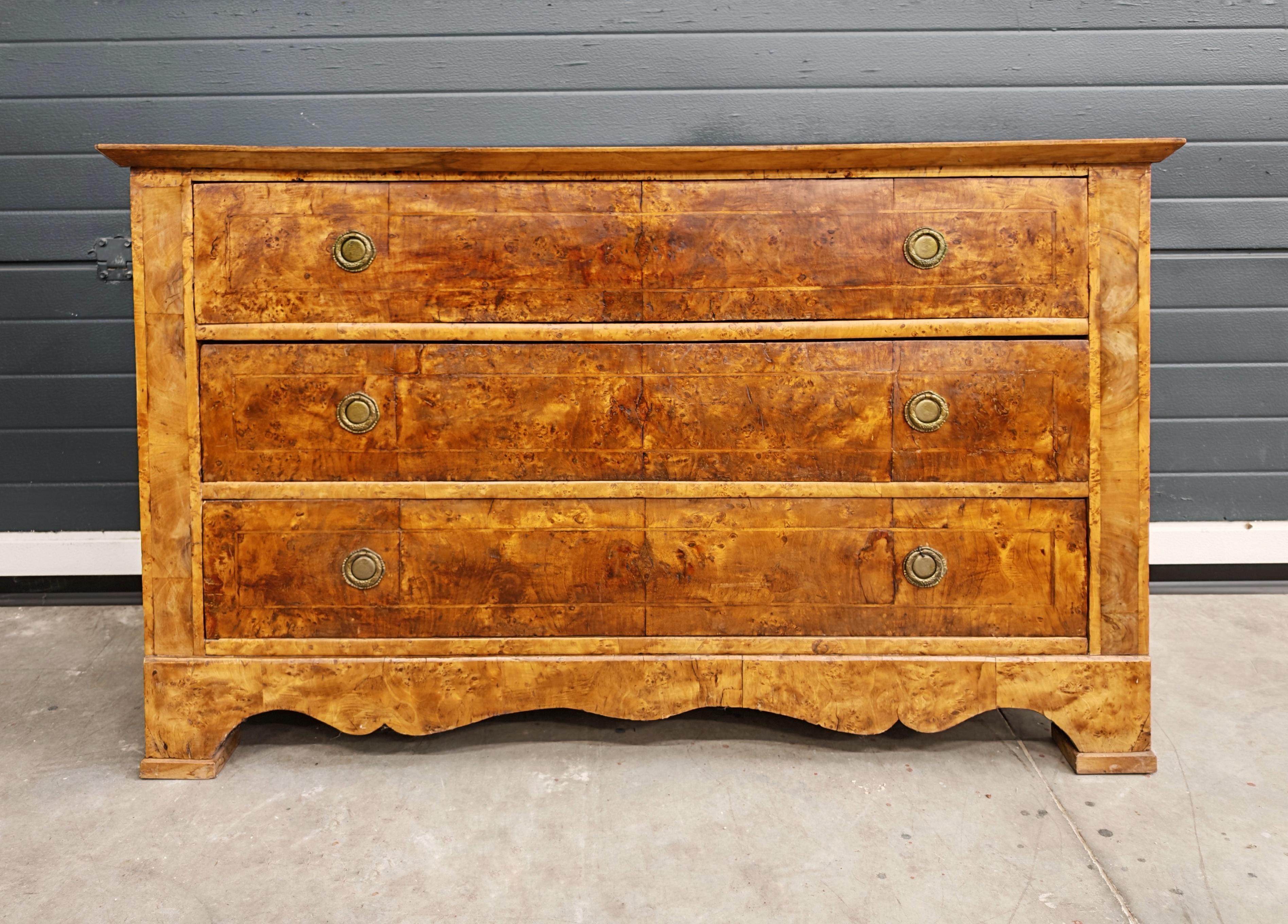 Antike Biedermeier Kommode aus Populus Nigra, Österreich 1820er Jahre im Zustand „Gut“ im Angebot in Beograd, RS