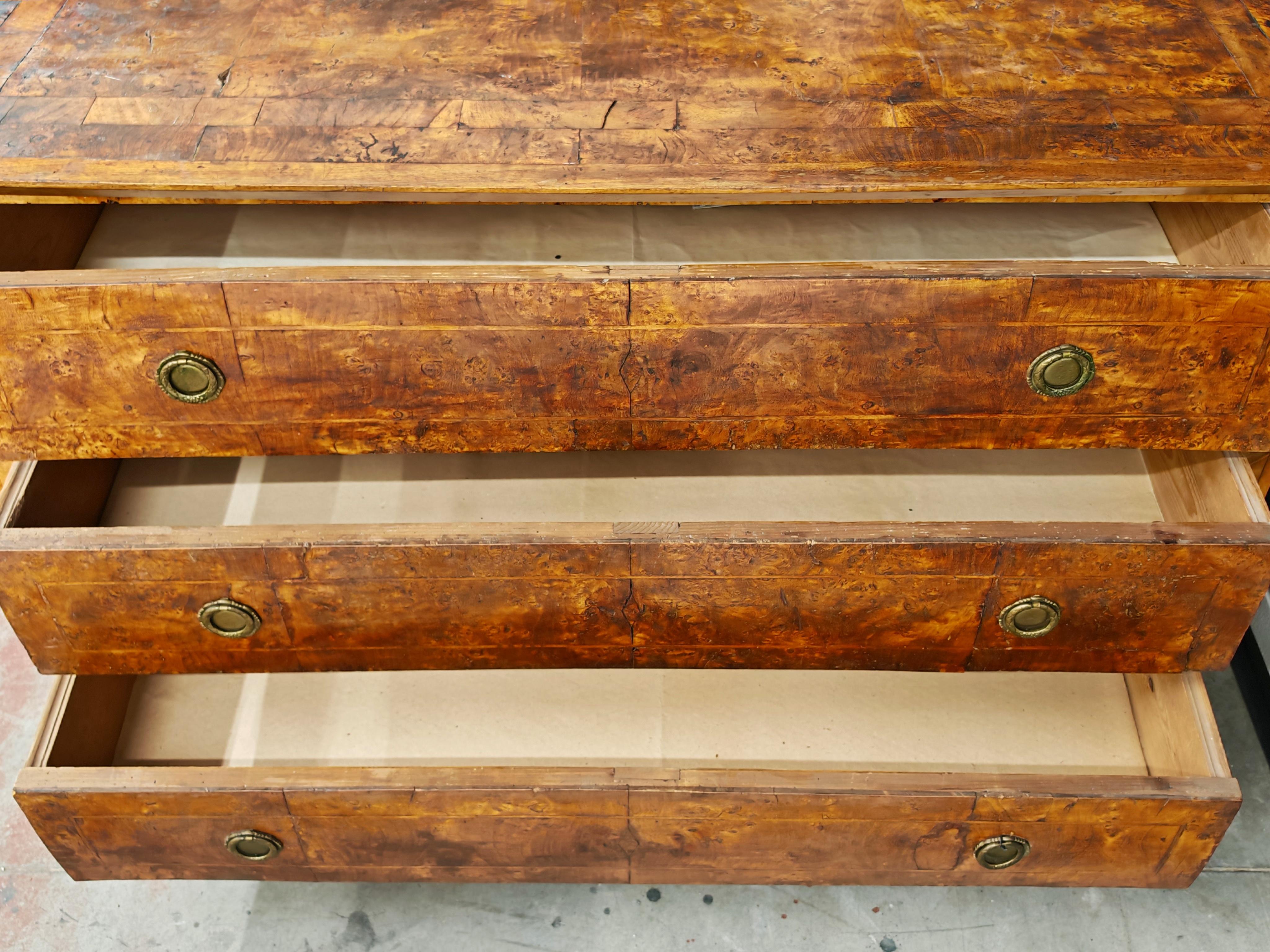 Antike Biedermeier Kommode aus Populus Nigra, Österreich 1820er Jahre im Angebot 1