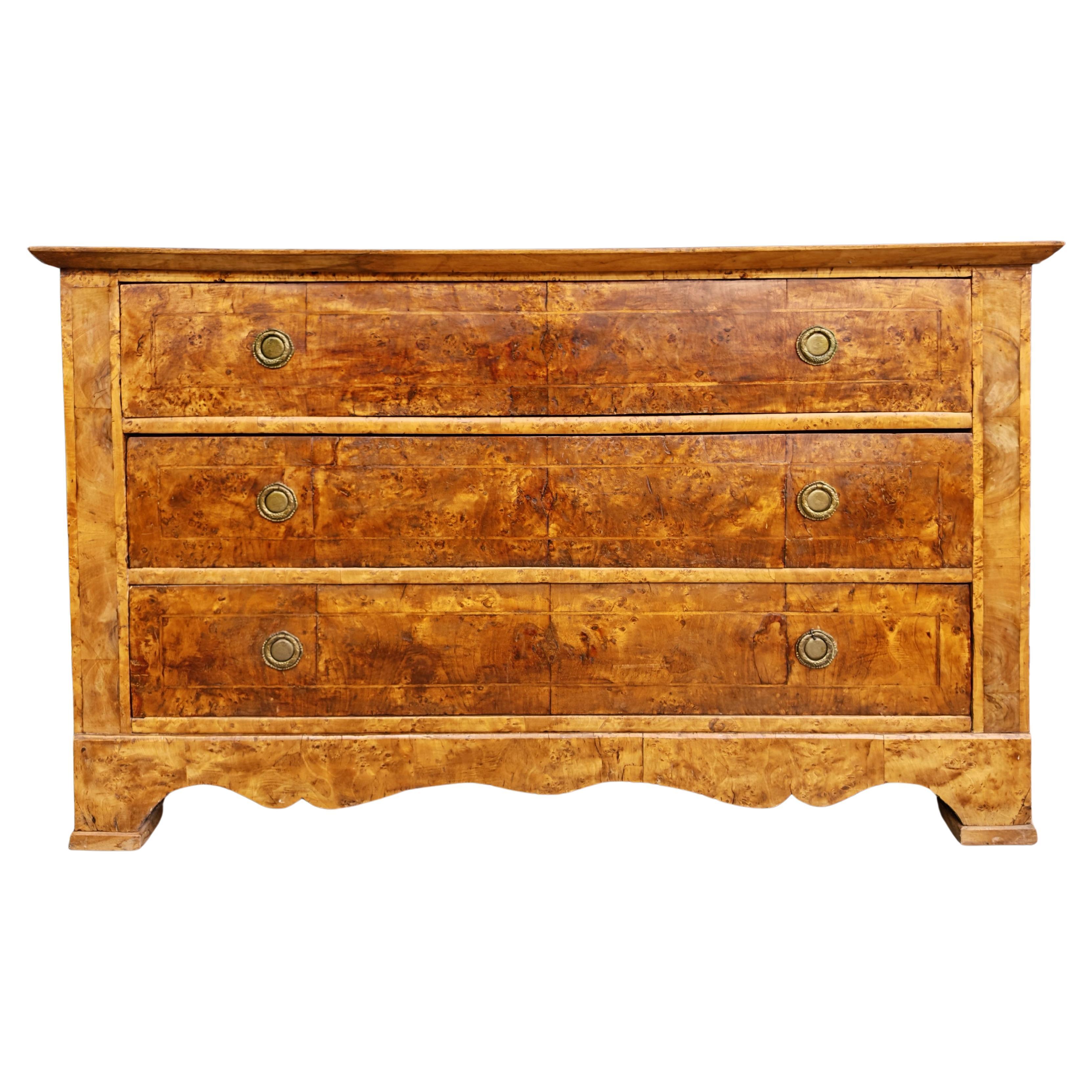 Antike Biedermeier Kommode aus Populus Nigra, Österreich 1820er Jahre im Angebot