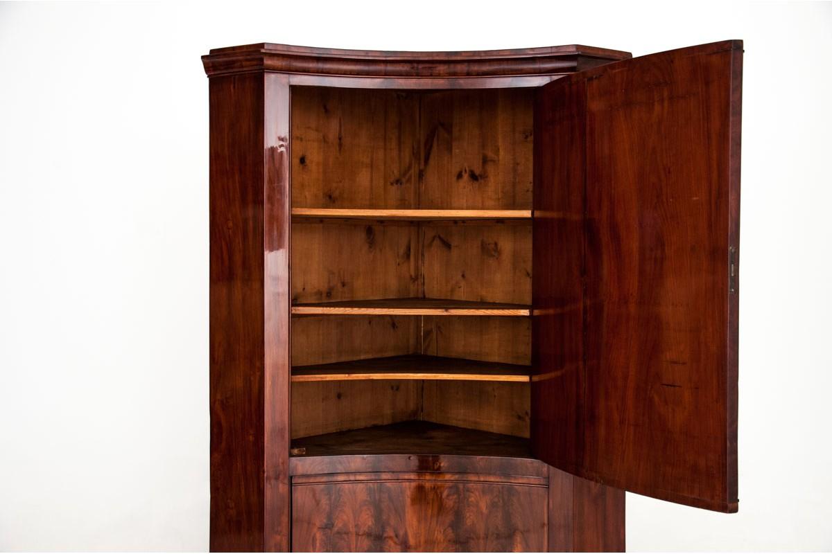 Late 19th Century Antique Biedermeier Corner Cabinet For Sale