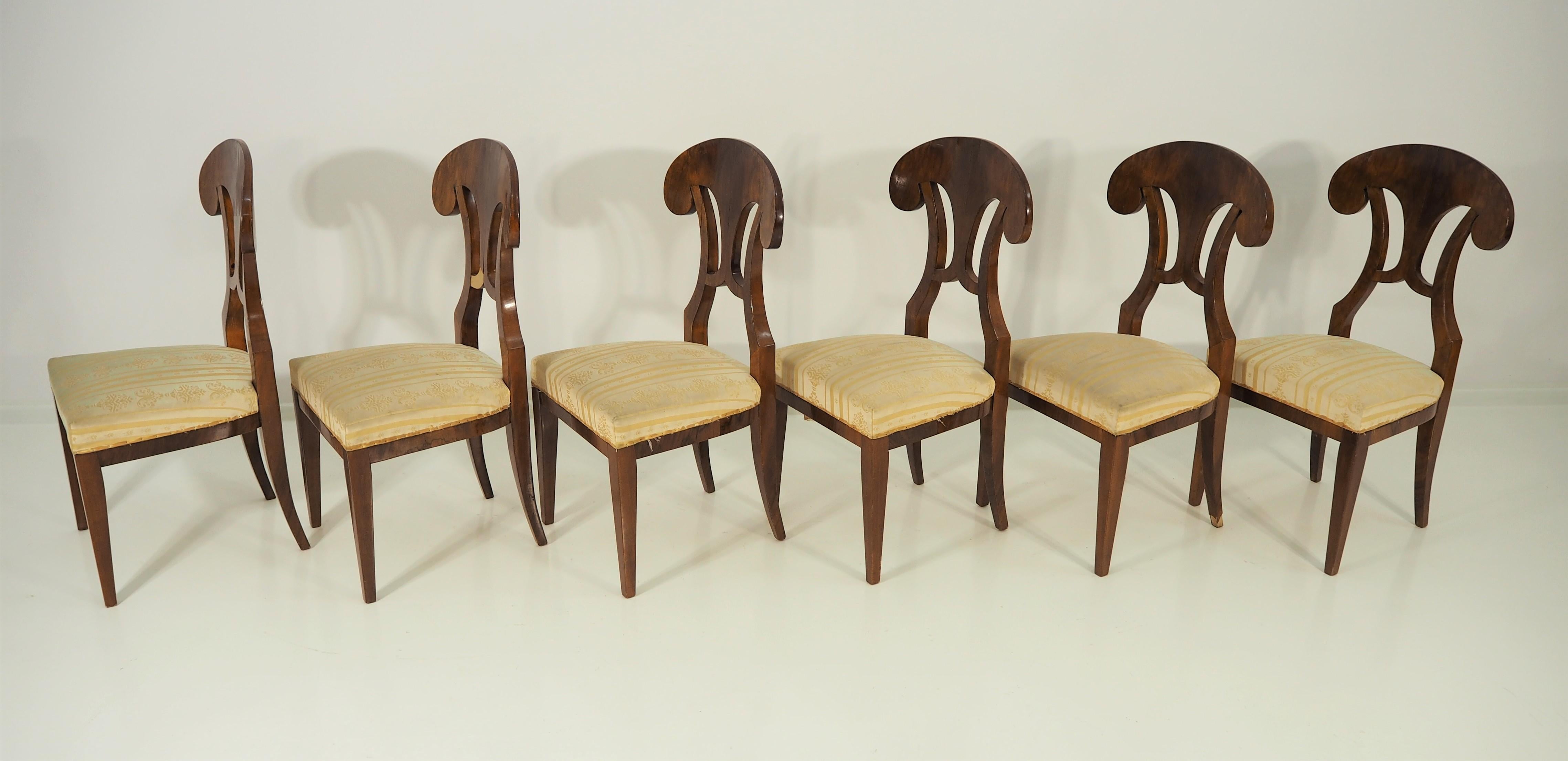 Veneer Antique Biedermeier Dining Chairs, Set of 6