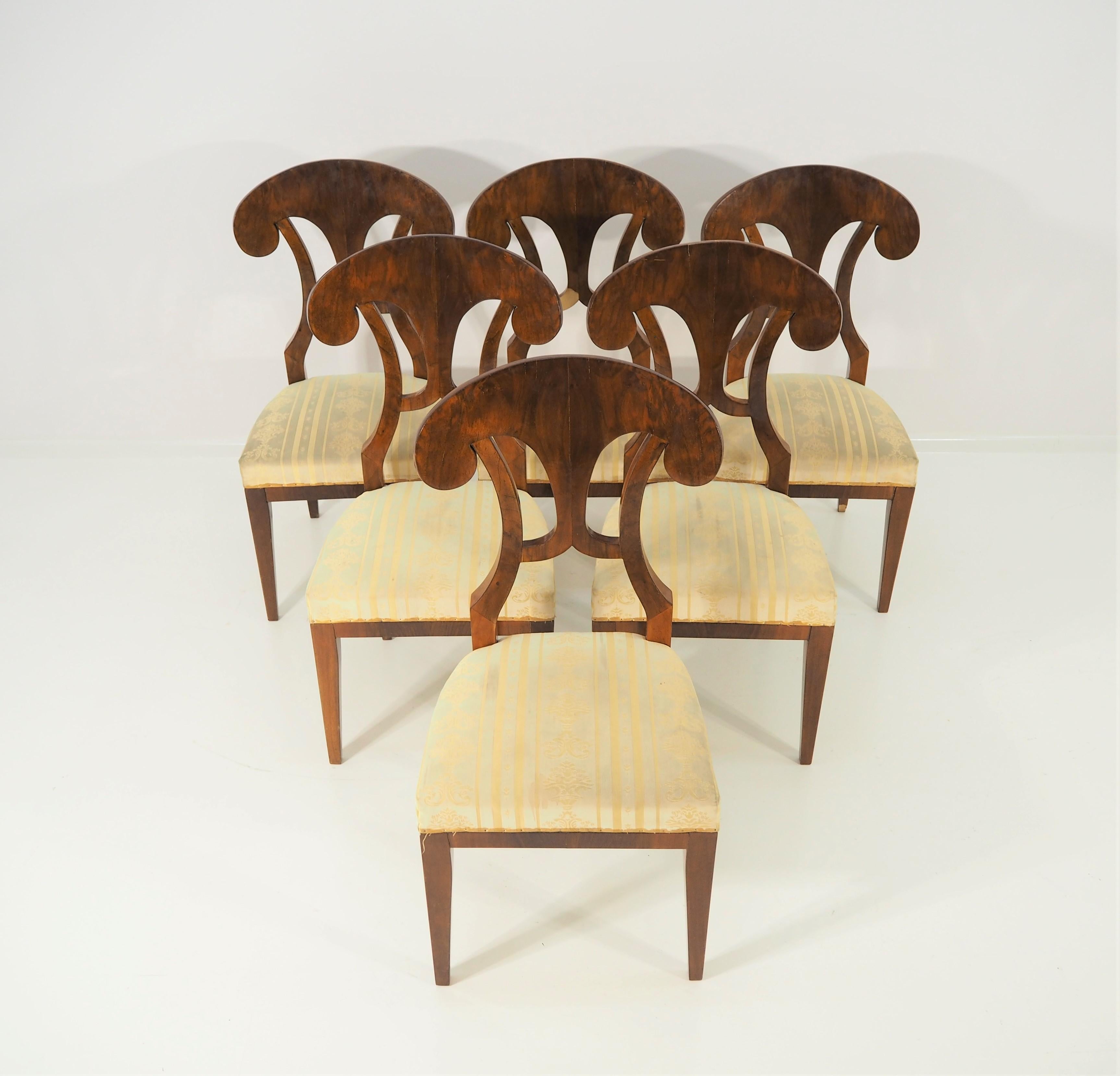 Nutwood Antique Biedermeier Dining Chairs, Set of 6