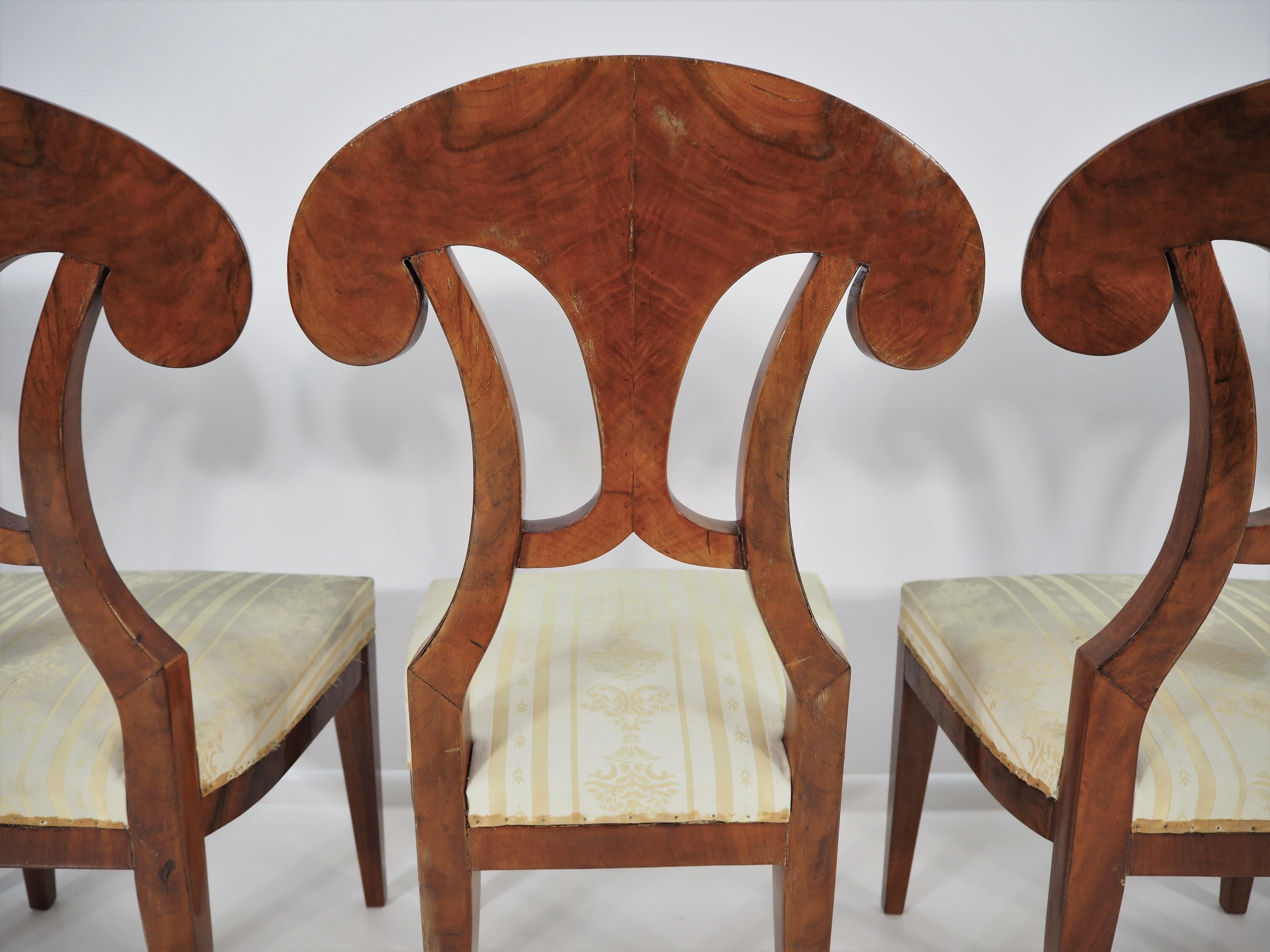 Antique Biedermeier Dining Chairs, Set of 6 3