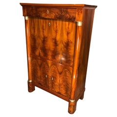Antique Biedermeier Secretary Desk, Germany 1820