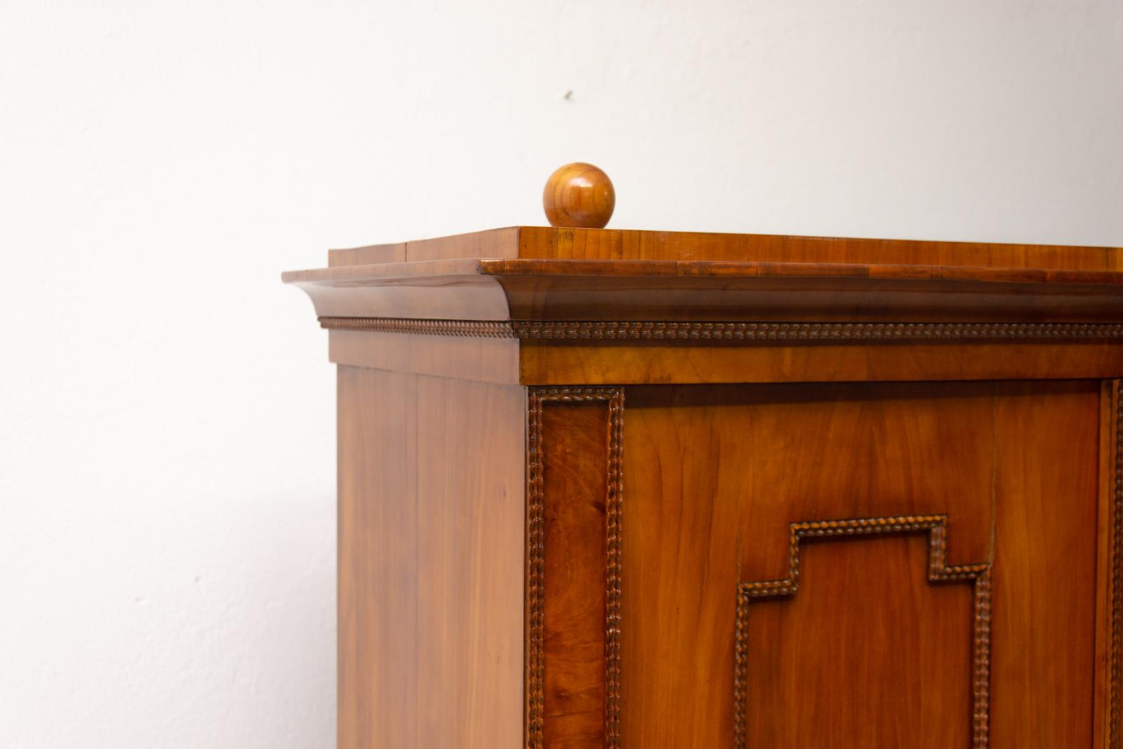 Antique Biedermeier Shelf Cabinet-Wardrobe, 1830s, Austria-Hungary For Sale 11