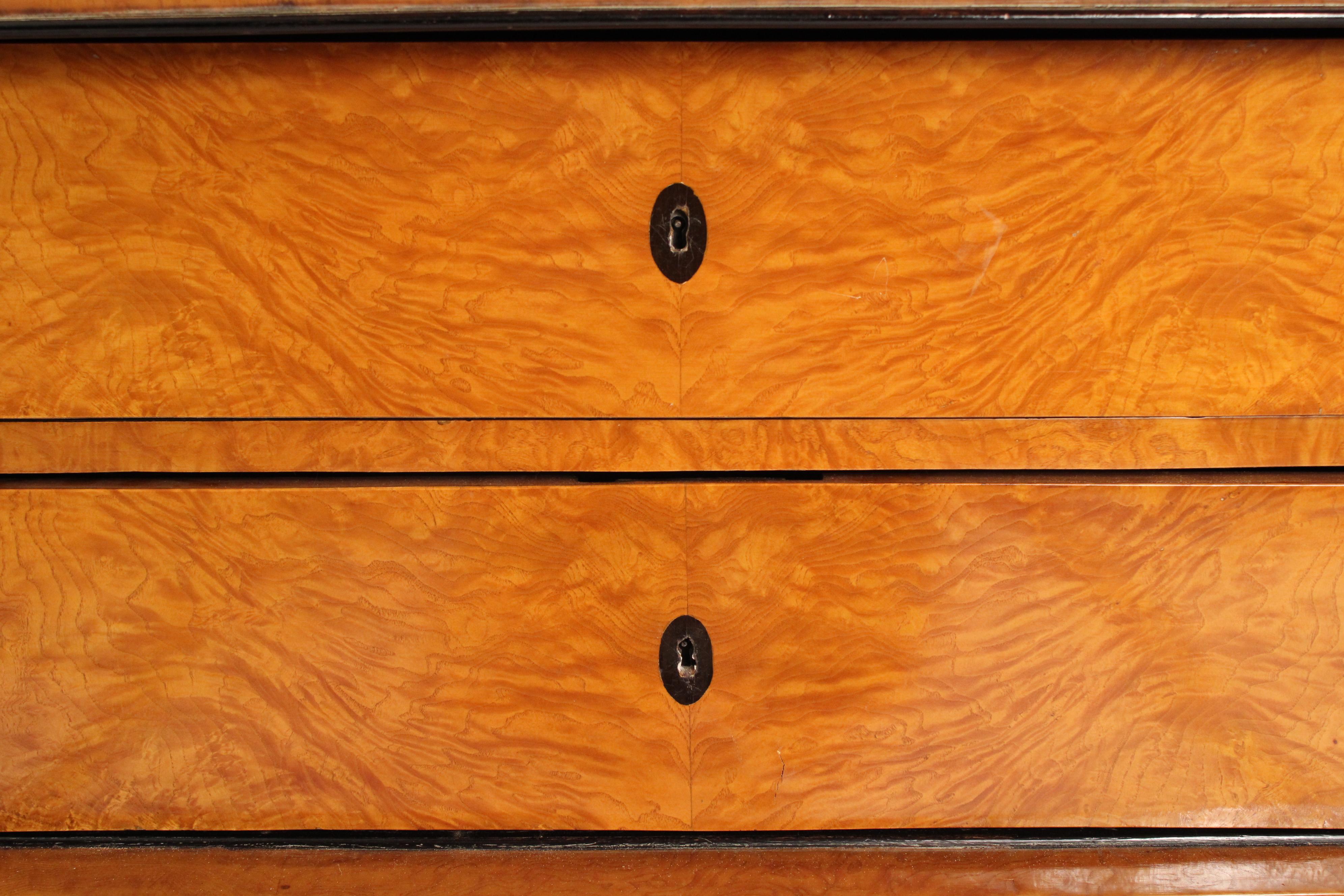 Antico cassettone in betulla in stile Biedermeier in vendita 4