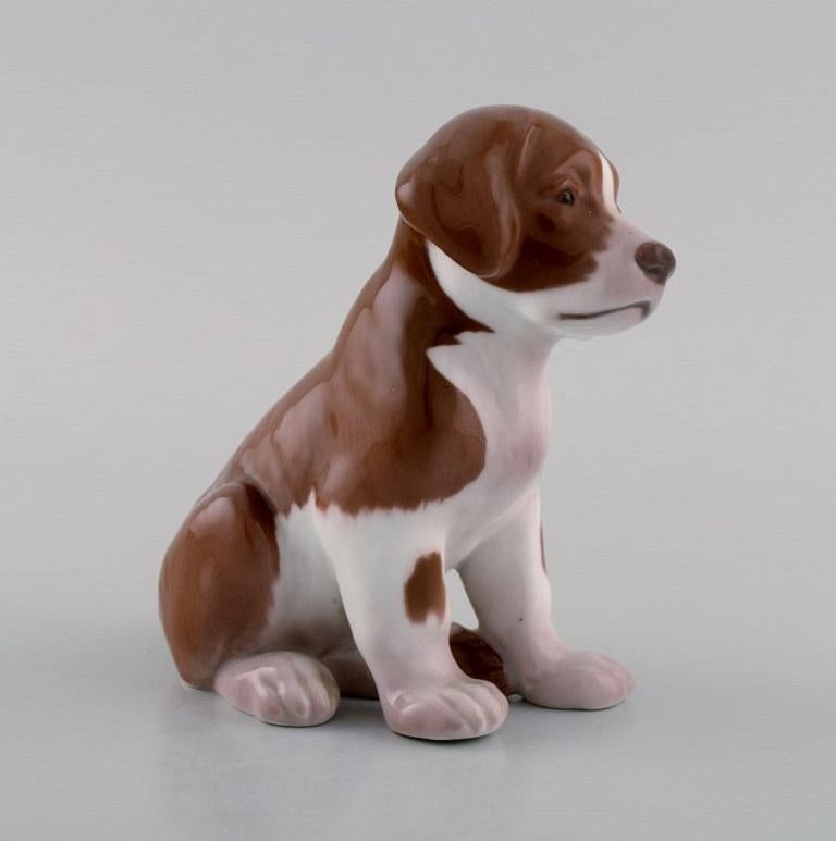 Danish Antique Bing & Grøndahl Porcelain Figurine, Saint Bernhard Puppy