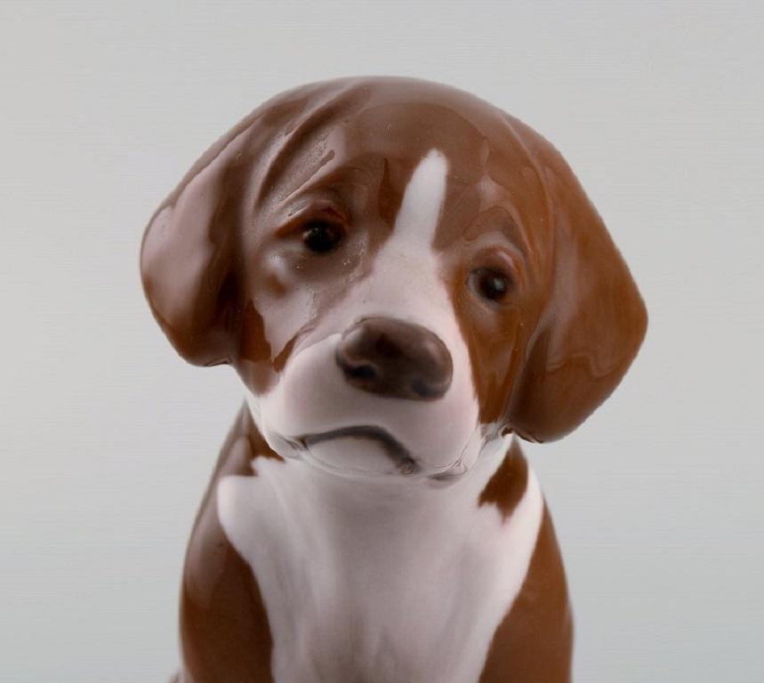 Antique Bing & Grøndahl Porcelain Figurine, Saint Bernhard Puppy In Excellent Condition For Sale In Copenhagen, DK