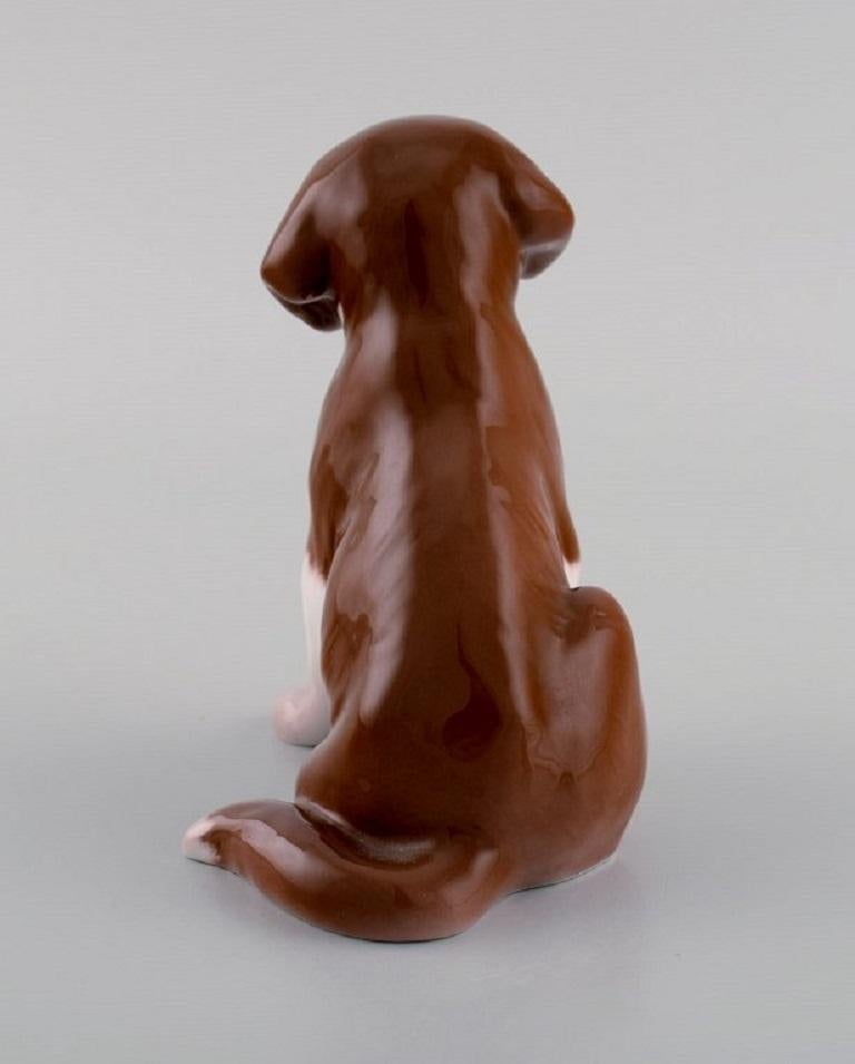 Antique Bing & Grøndahl Porcelain Figurine, Saint Bernhard Puppy 1