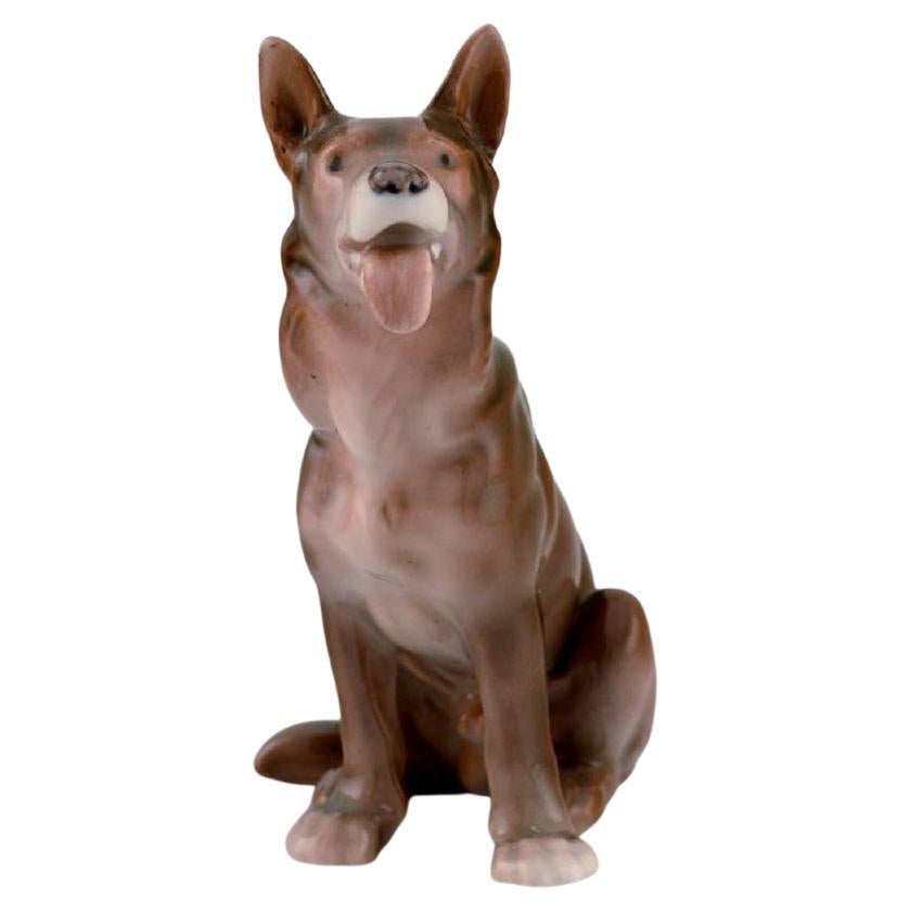 Antique Bing & Grøndahl Porcelain Figurine, Sitting German Shepherd For Sale